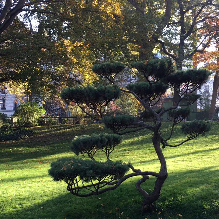 Square des Batignolles - Parks Near Me - Paris, 75