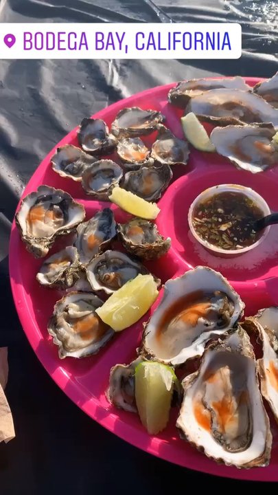 Bodega Bay Oyster - came here yesterday before closing and were able to get one dozen of Xsmall and kumamotos! love their oysters!! - Seafood Markets Near Me - Petaluma, California