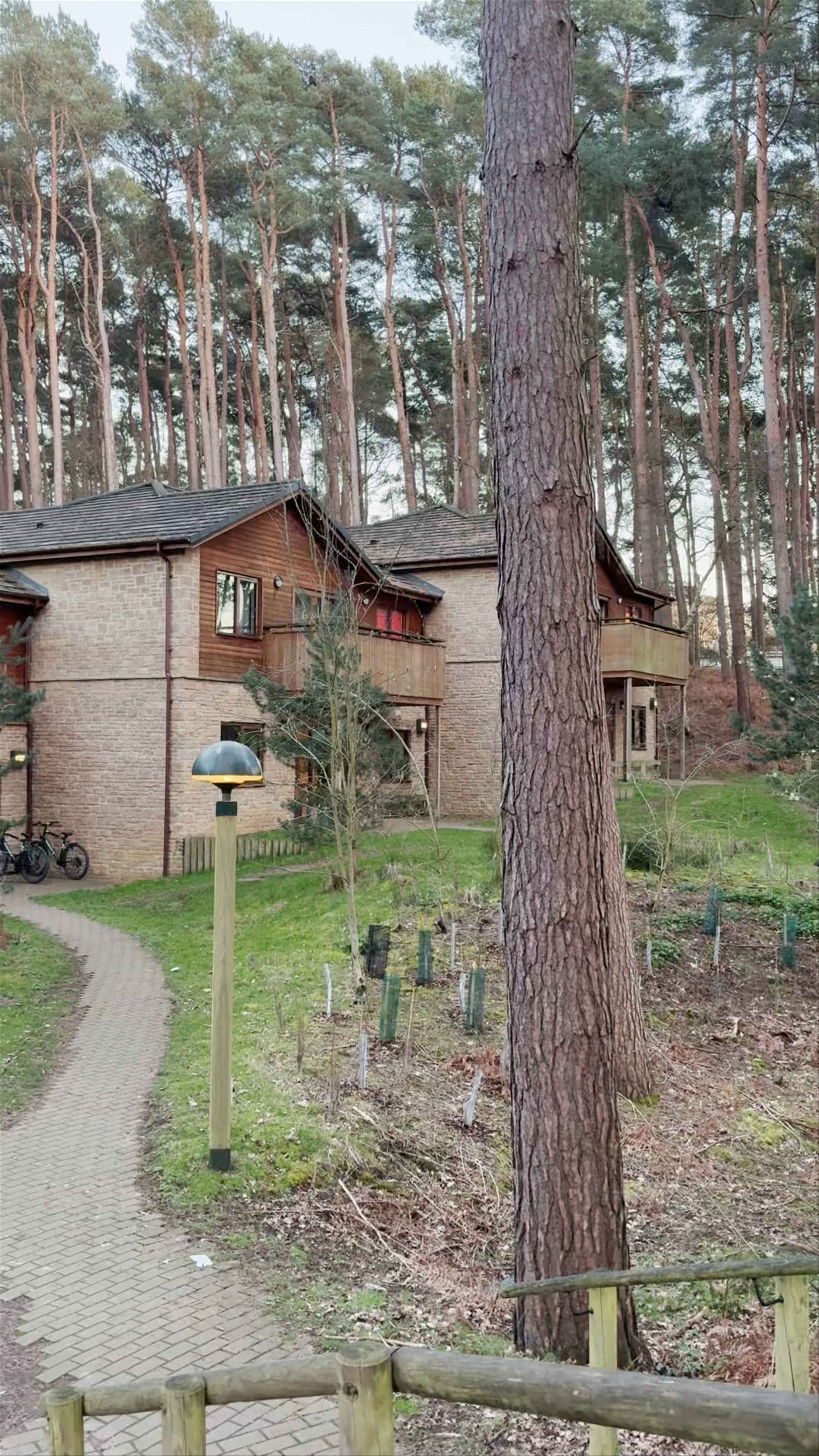 Center Parcs Woburn Winter Wonderland