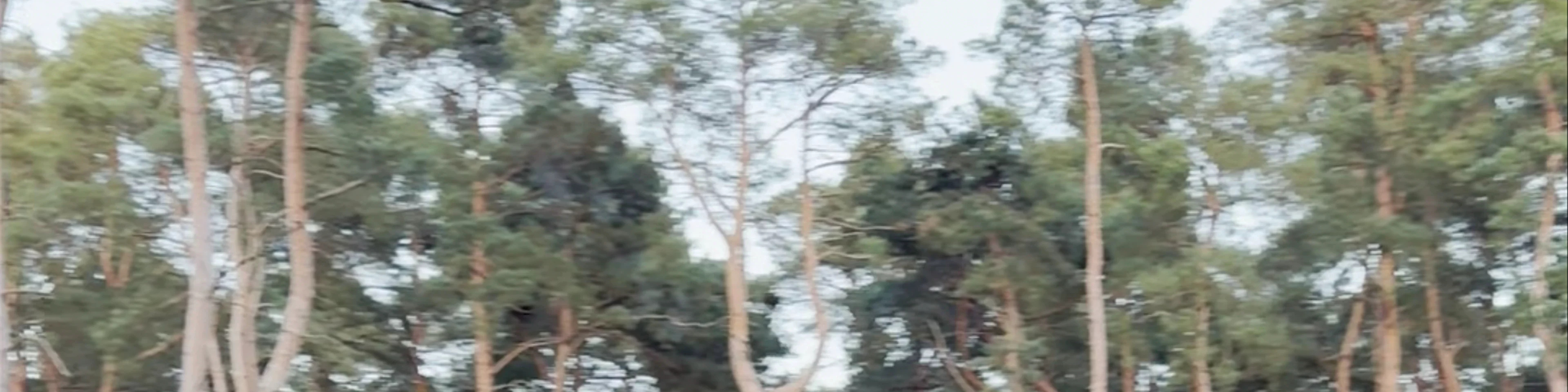 Center Parcs Woburn Winter Wonderland