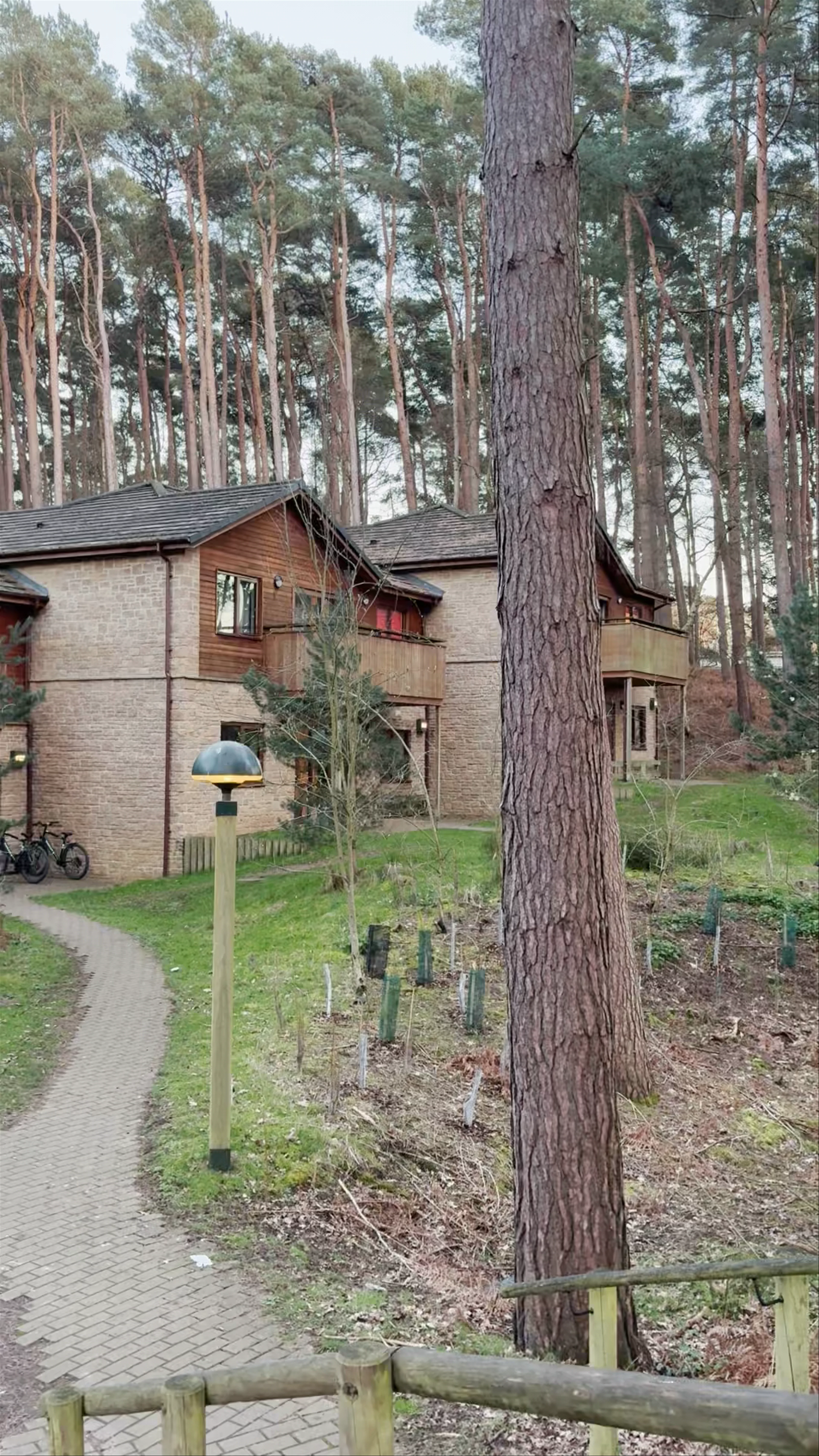 Center Parcs Woburn Winter Wonderland