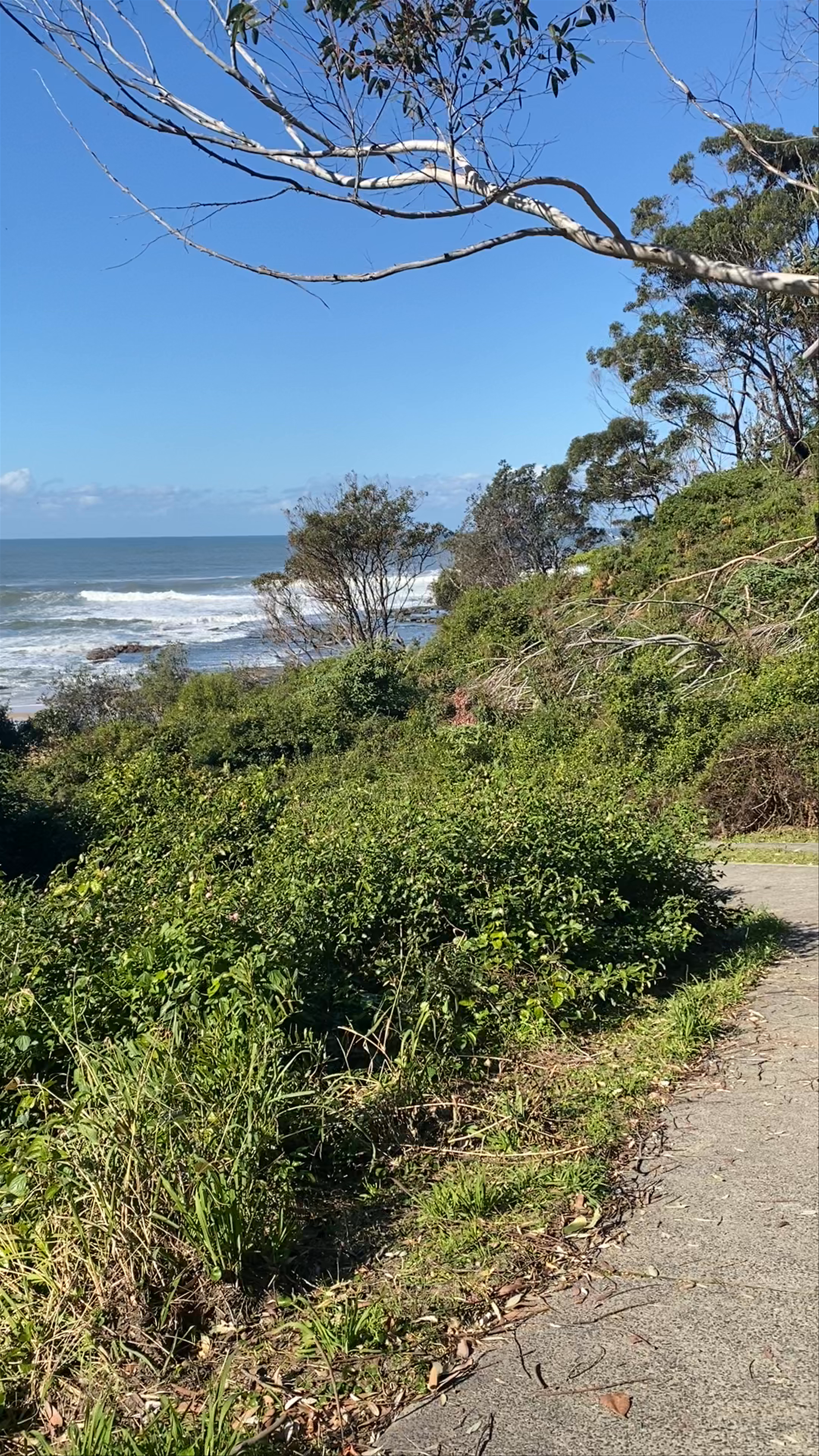 Serene Coastal Walk at Bateau Bay Beach, Australia