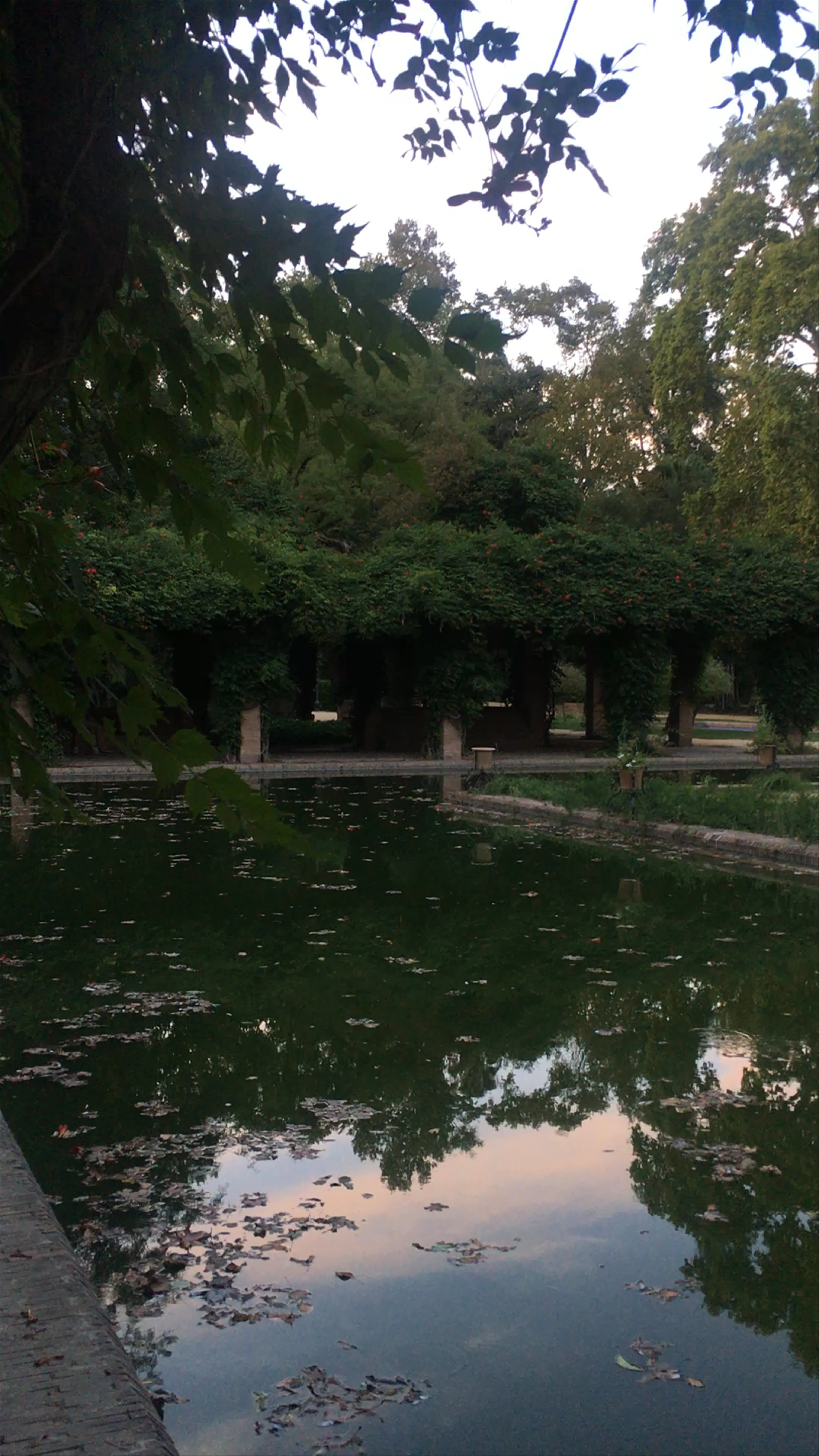 Tranquil Evening Walk in Parque de María Luisa, Seville