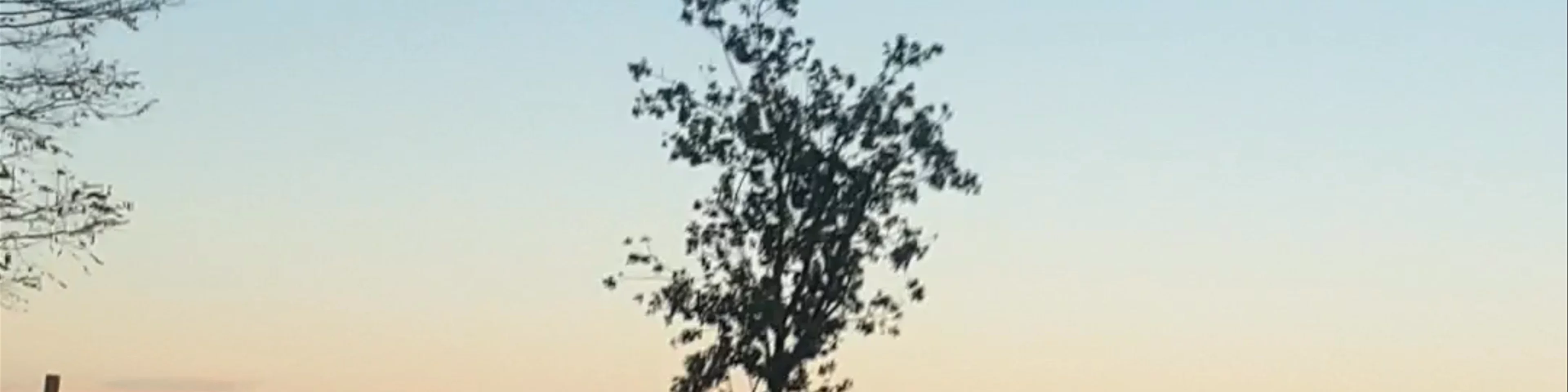 Seu Vella