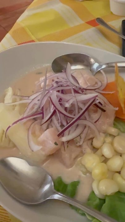 Inka Chicken - Great Peruvian food in Rome. I had ceviche and lomo salteado. The service was great the food was fantastic - Italian Near Me - Rome, RM