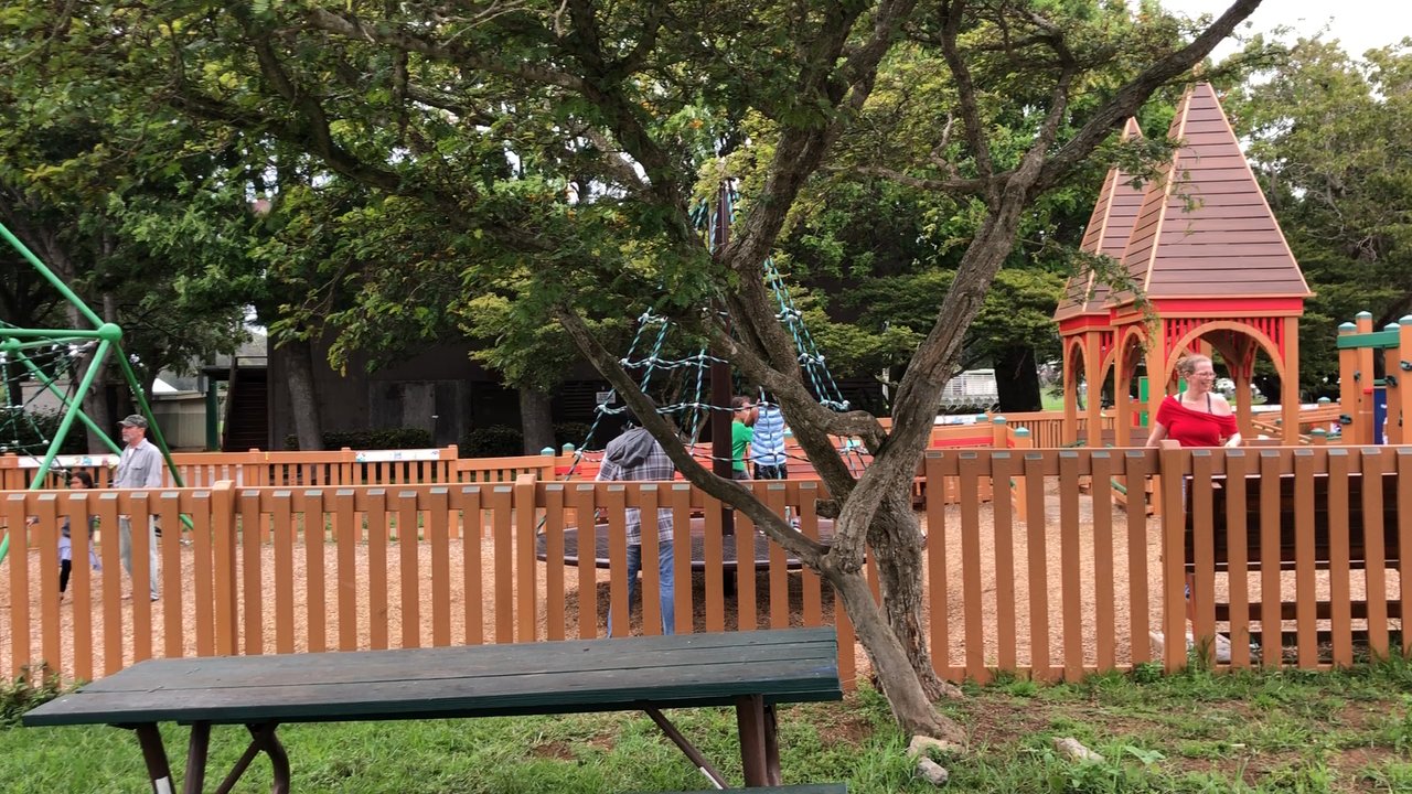 Waimea Park - This playground is a MUST for kiddies if you are in the area! - Parks Near Me - Kamuela, Hawaii
