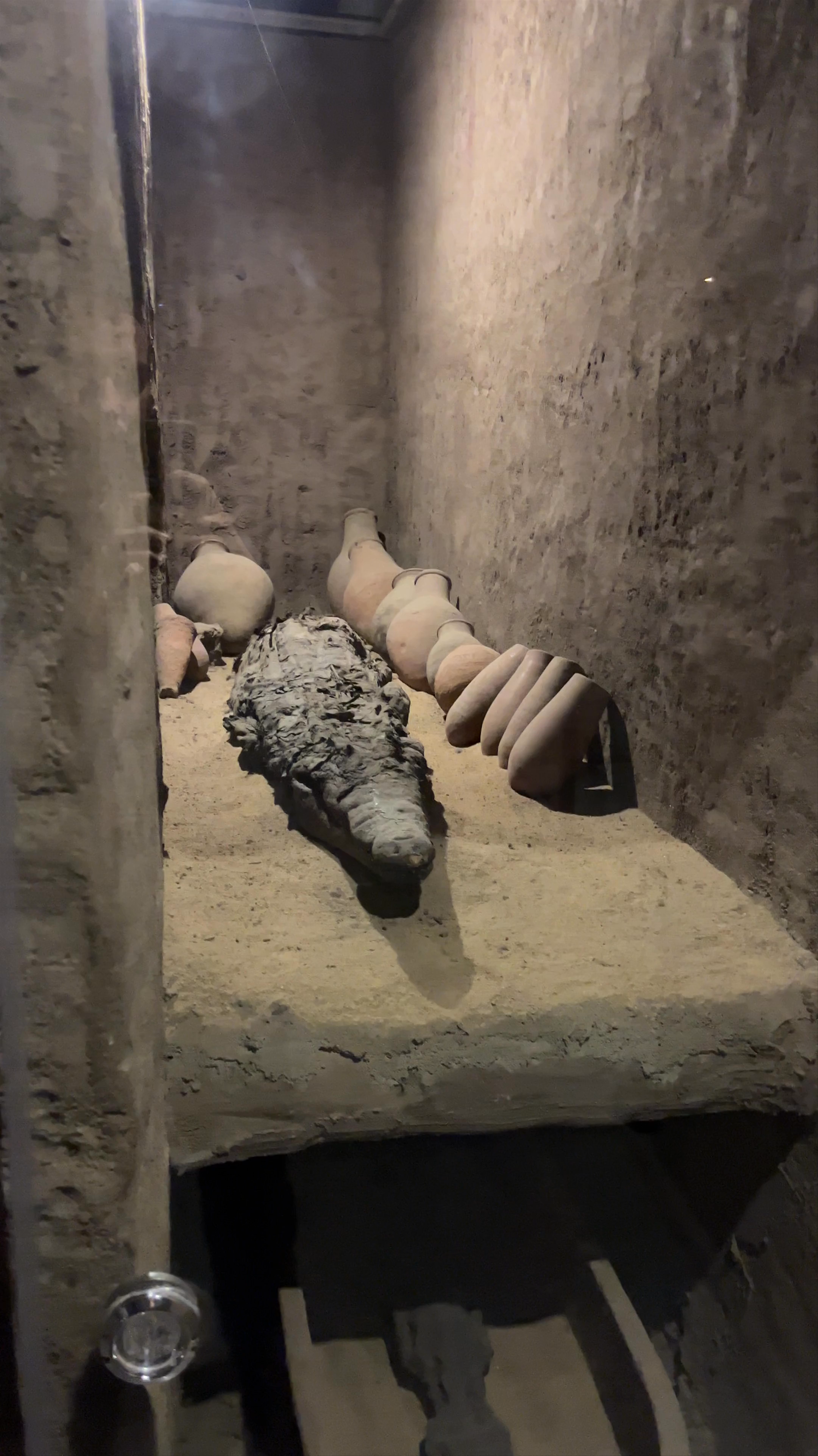 Crocodile Museum