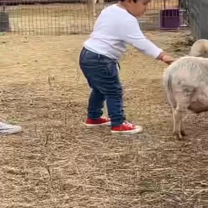 STORYBOOK RANCH PUMPKIN PATCH - Updated January 2026 - 38 Photos - 402 ...