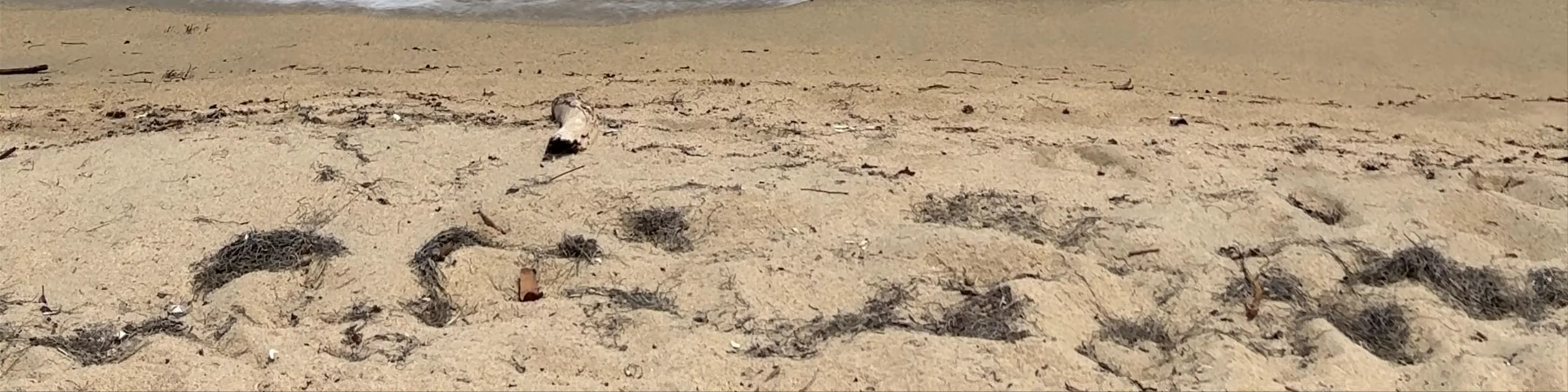 Playa Arenilla