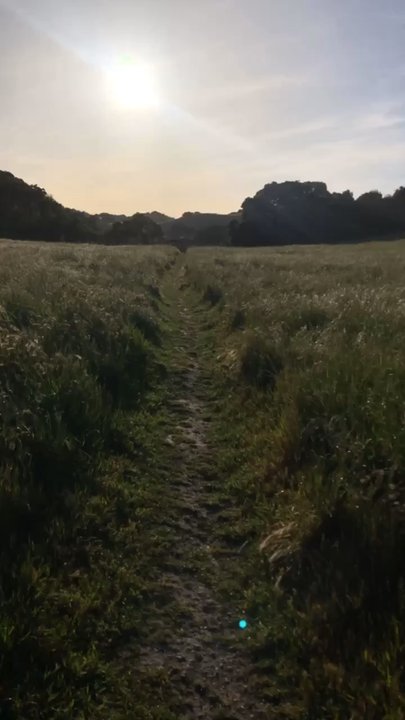 Preserve Trail - Hiking Near Me - Pleasanton, California