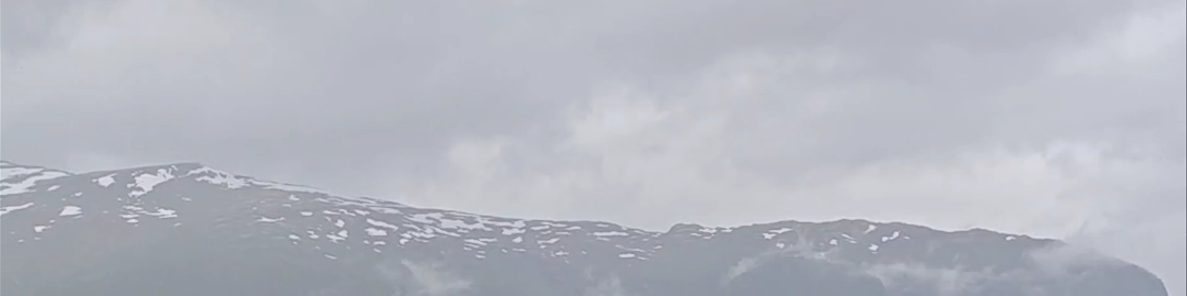 Stegastein