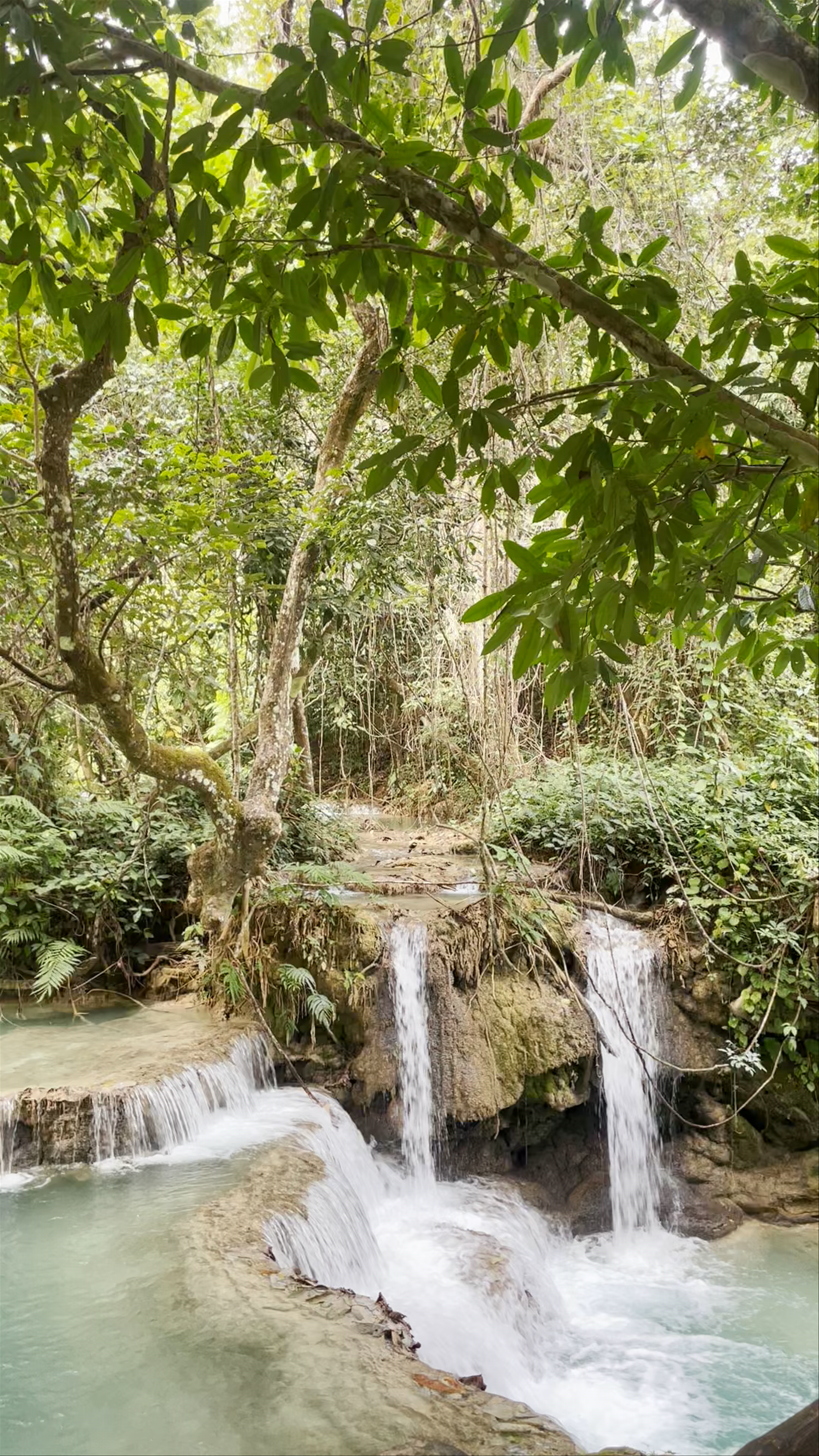 Kuang Si Waterfall: Tranquil Cascades in Laos' Lush Jungle