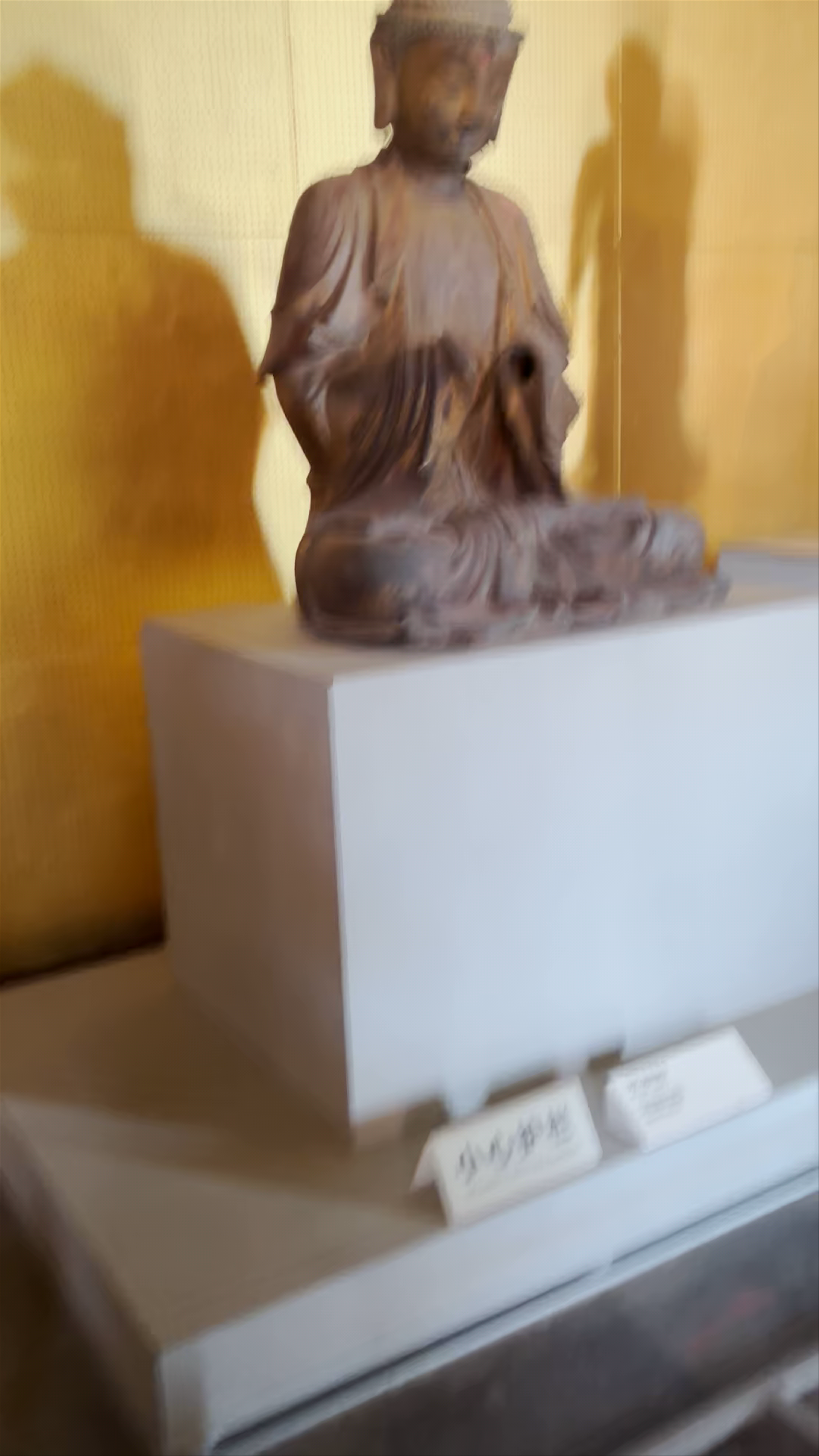 Ancient Buddhist Statues in Beijing's Dongcheng District