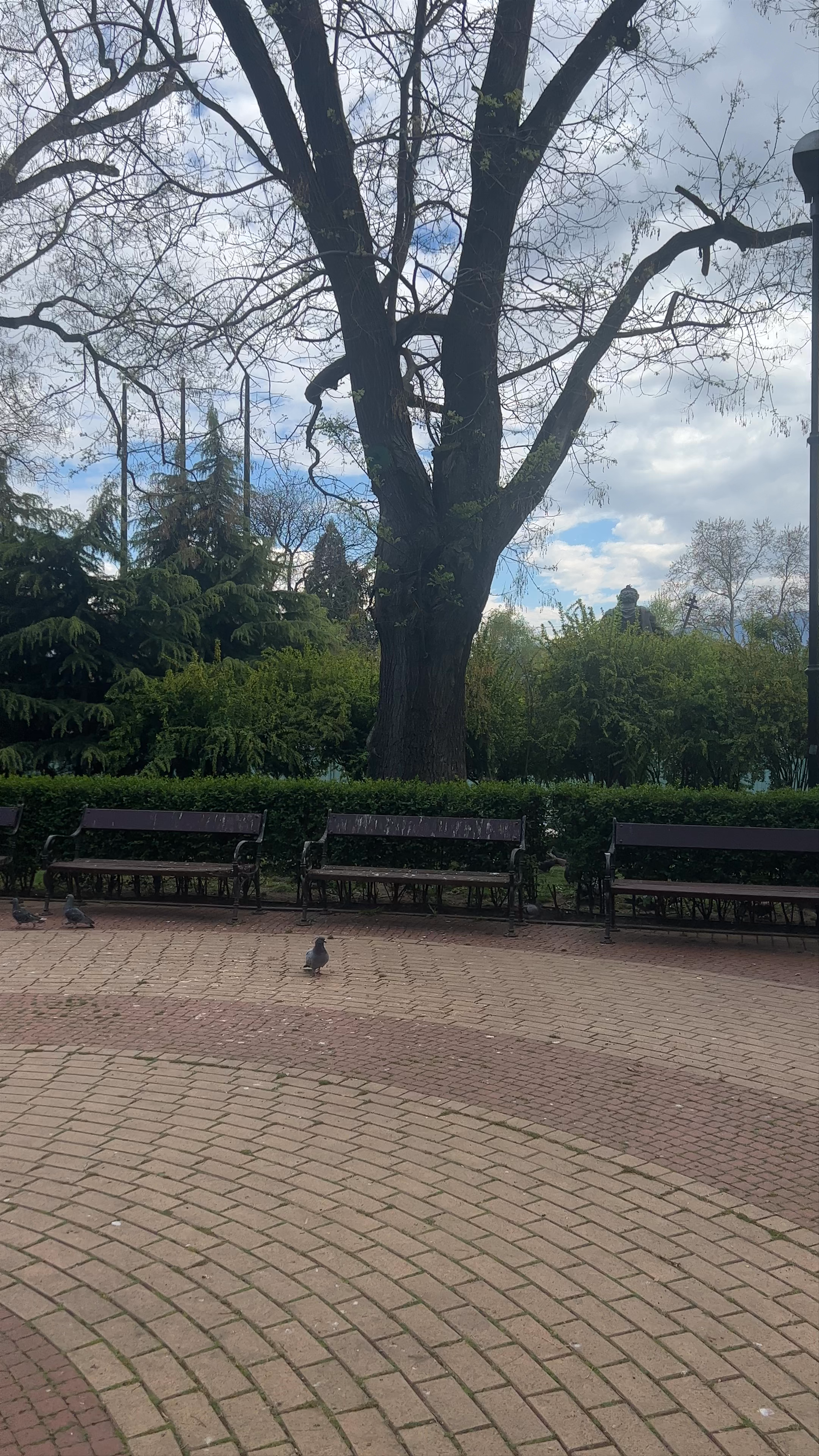 King Samuil Monument