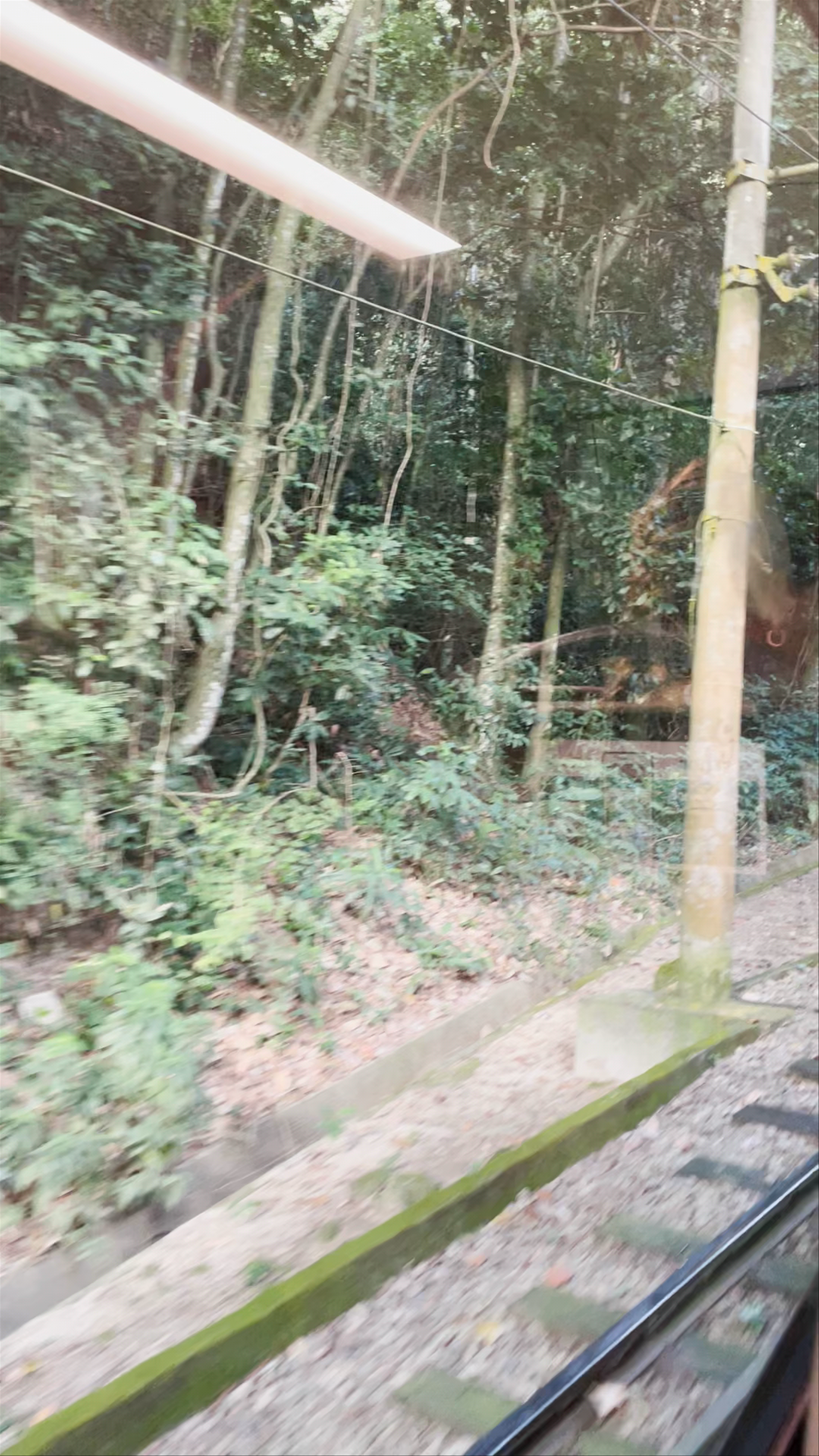 Corcovado - Alto da Boa Vista