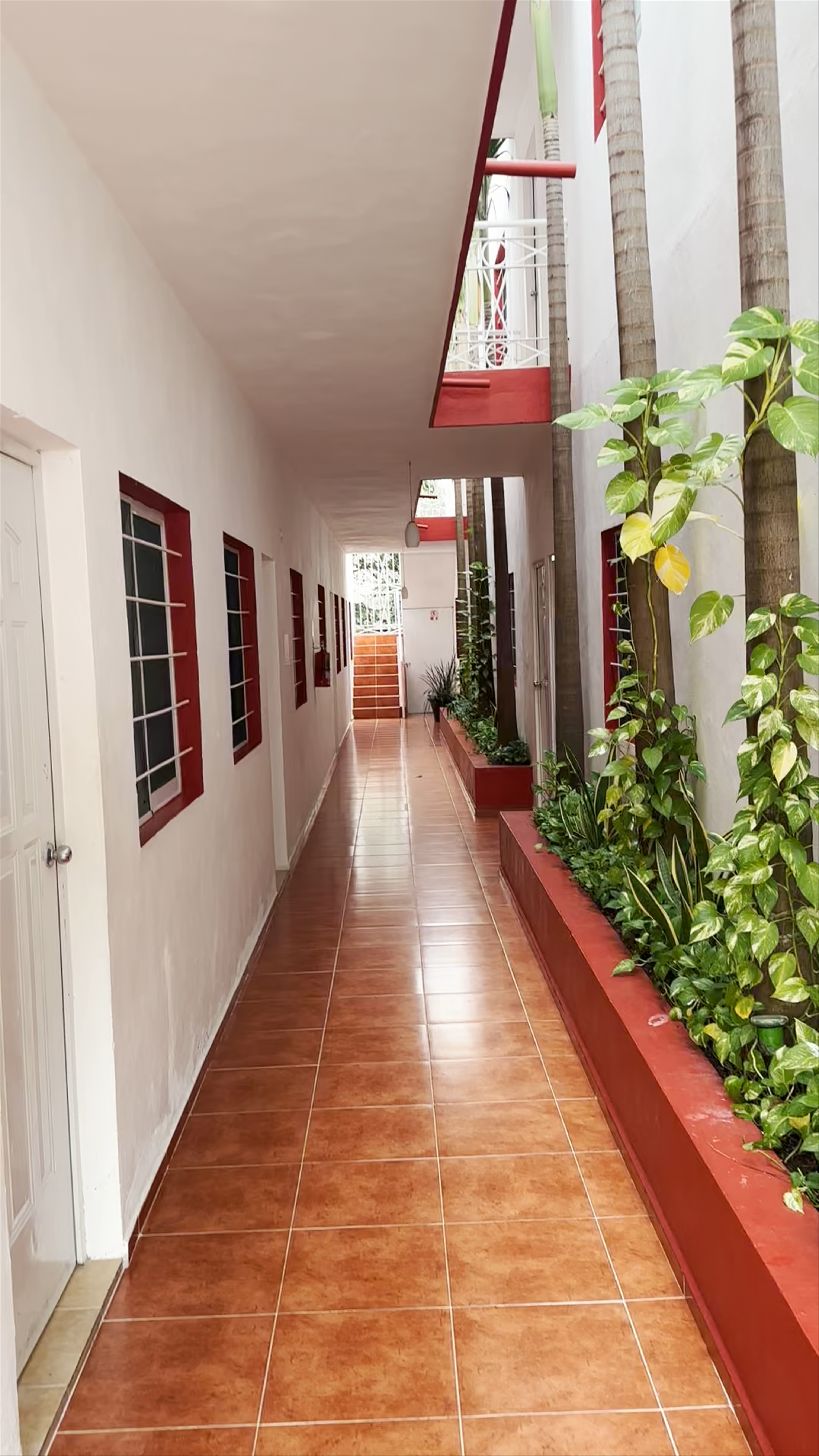 Gayser Apartamentos: Comfortable Stays in Valladolid, Yucatán
