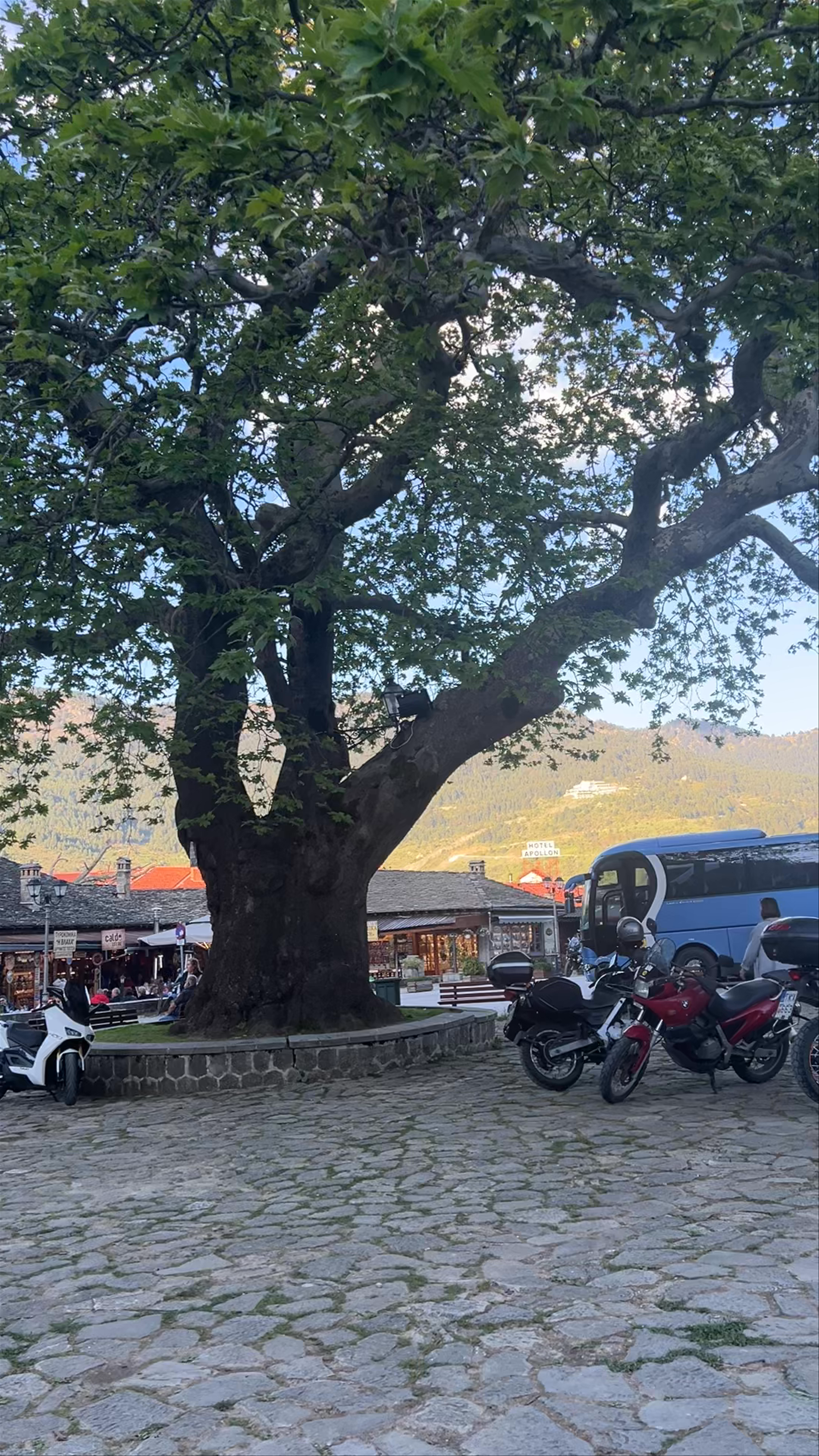 Metsovo Square: Timeless Village Charm in Greece's Ioannina Region