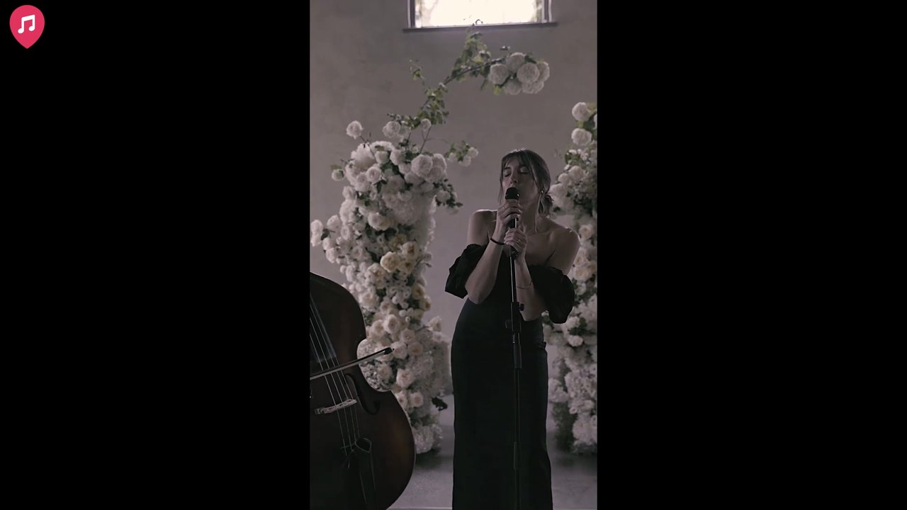Ali & Eli - Trio with Harp (video games) - video 3