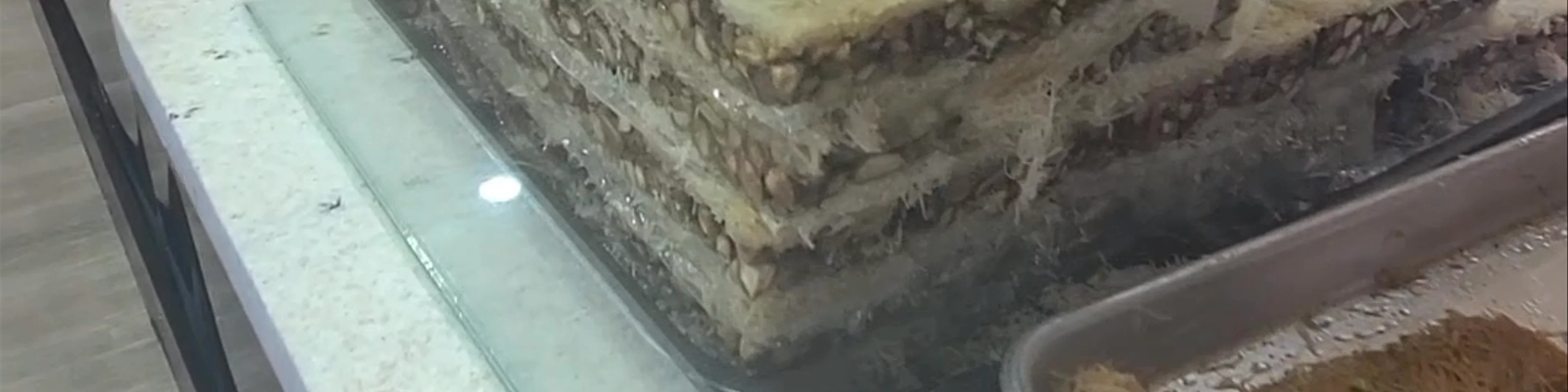 Baklava House