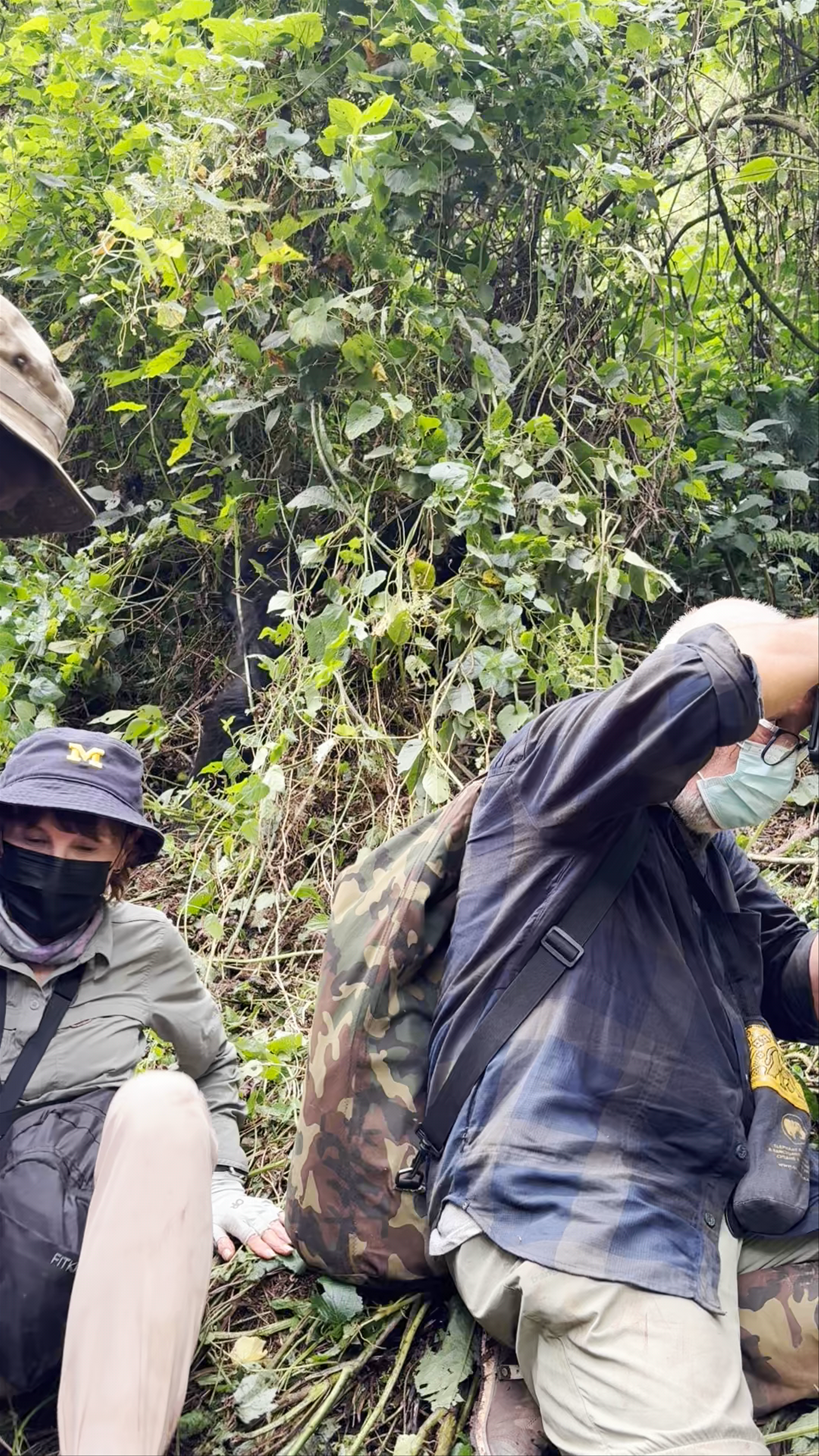 Ruhija Gorilla Trekking Camp - Trekking Gorillas