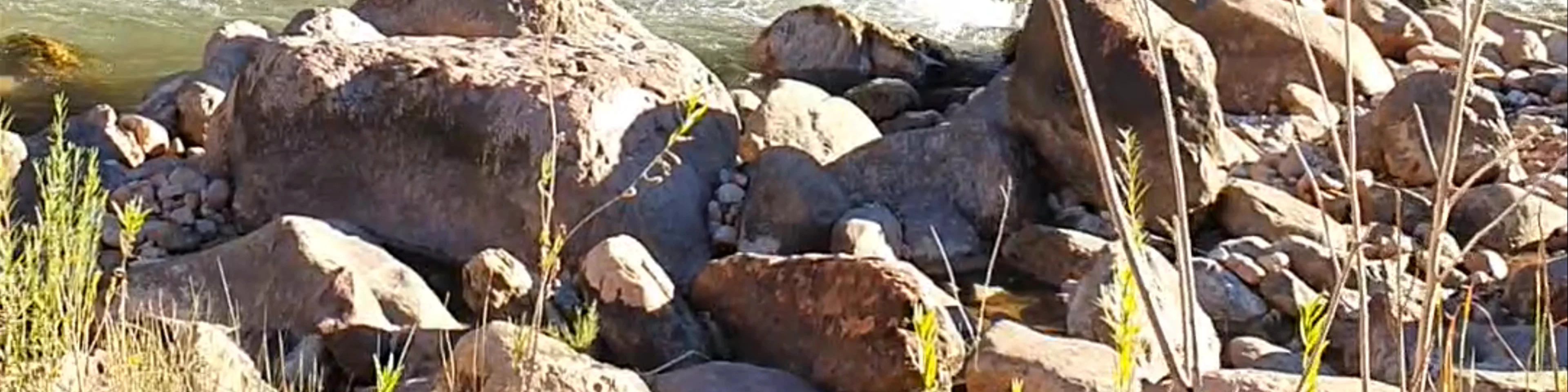 Hermit Rapids
