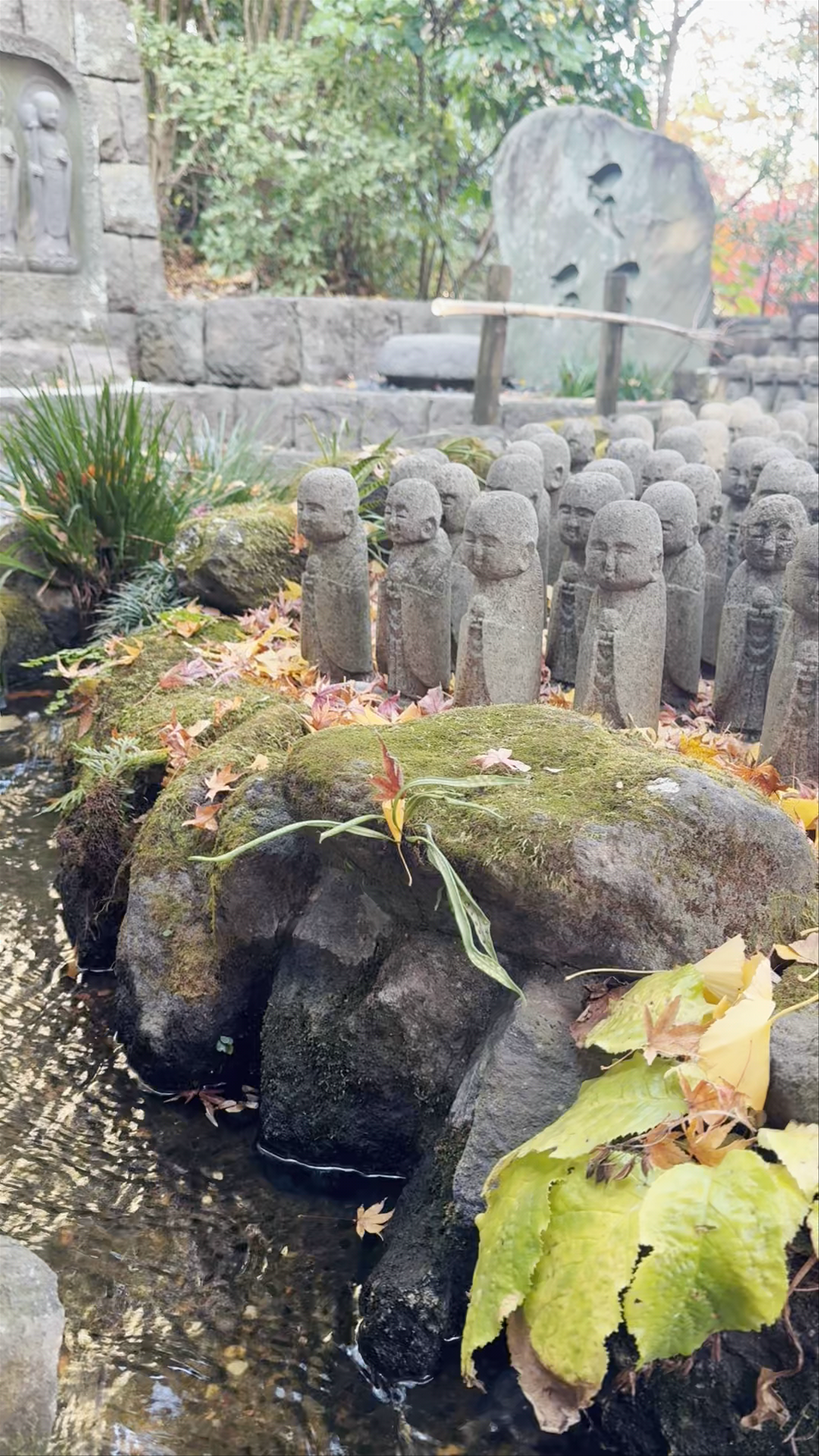 Hasedera Temple Garden: Serene Autumn at Kamakura's Spiritual Haven