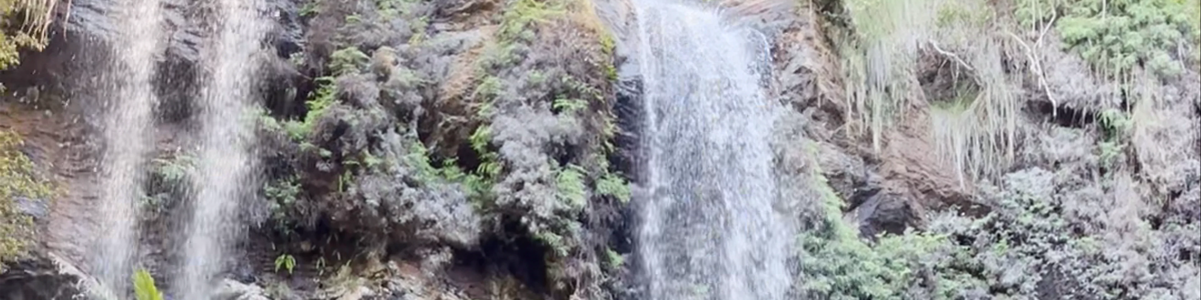 Twin Falls