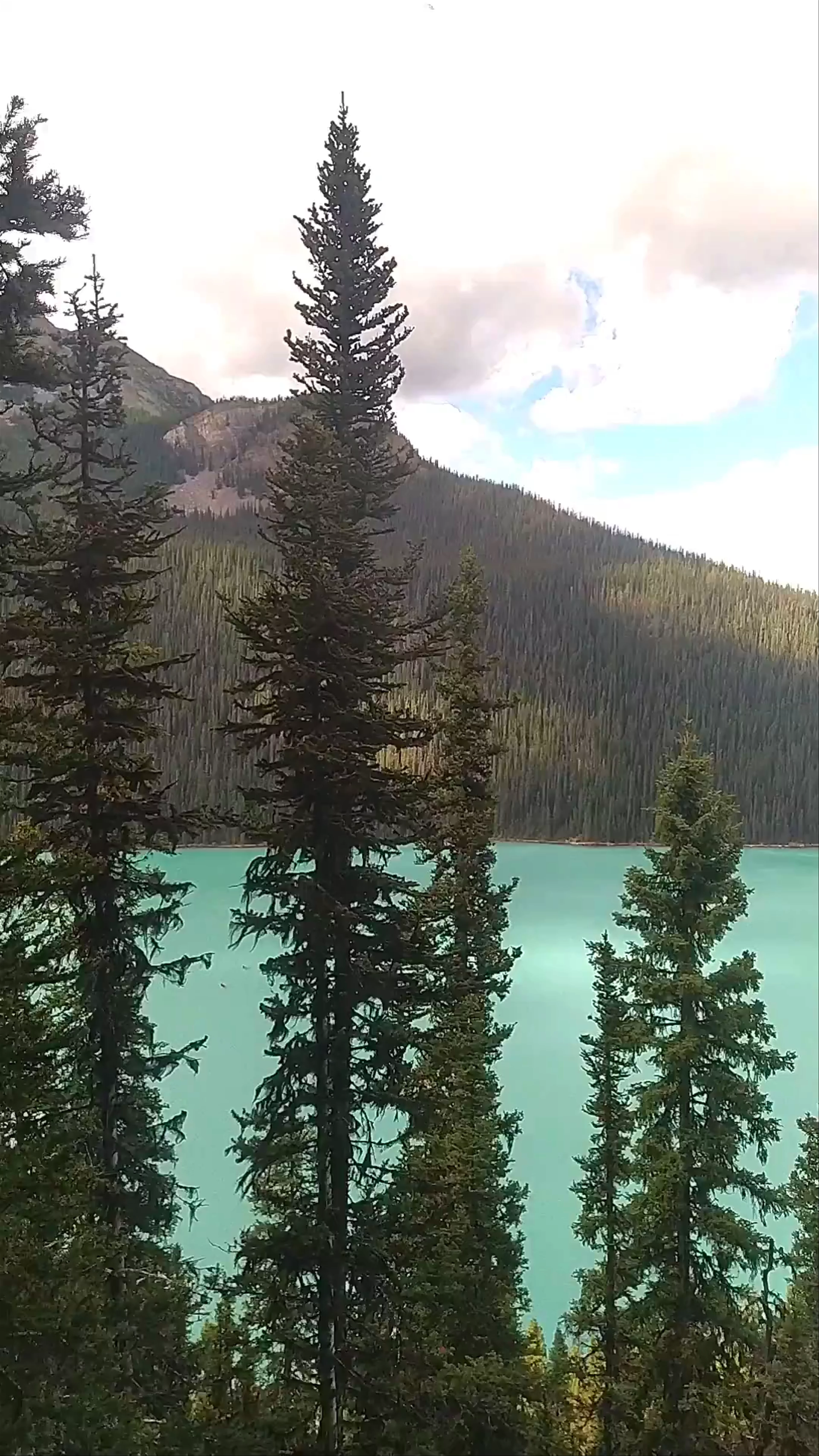 Lake Louise