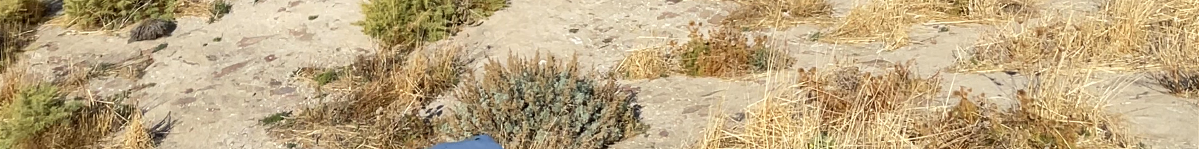 Tours & experiences in Pláka