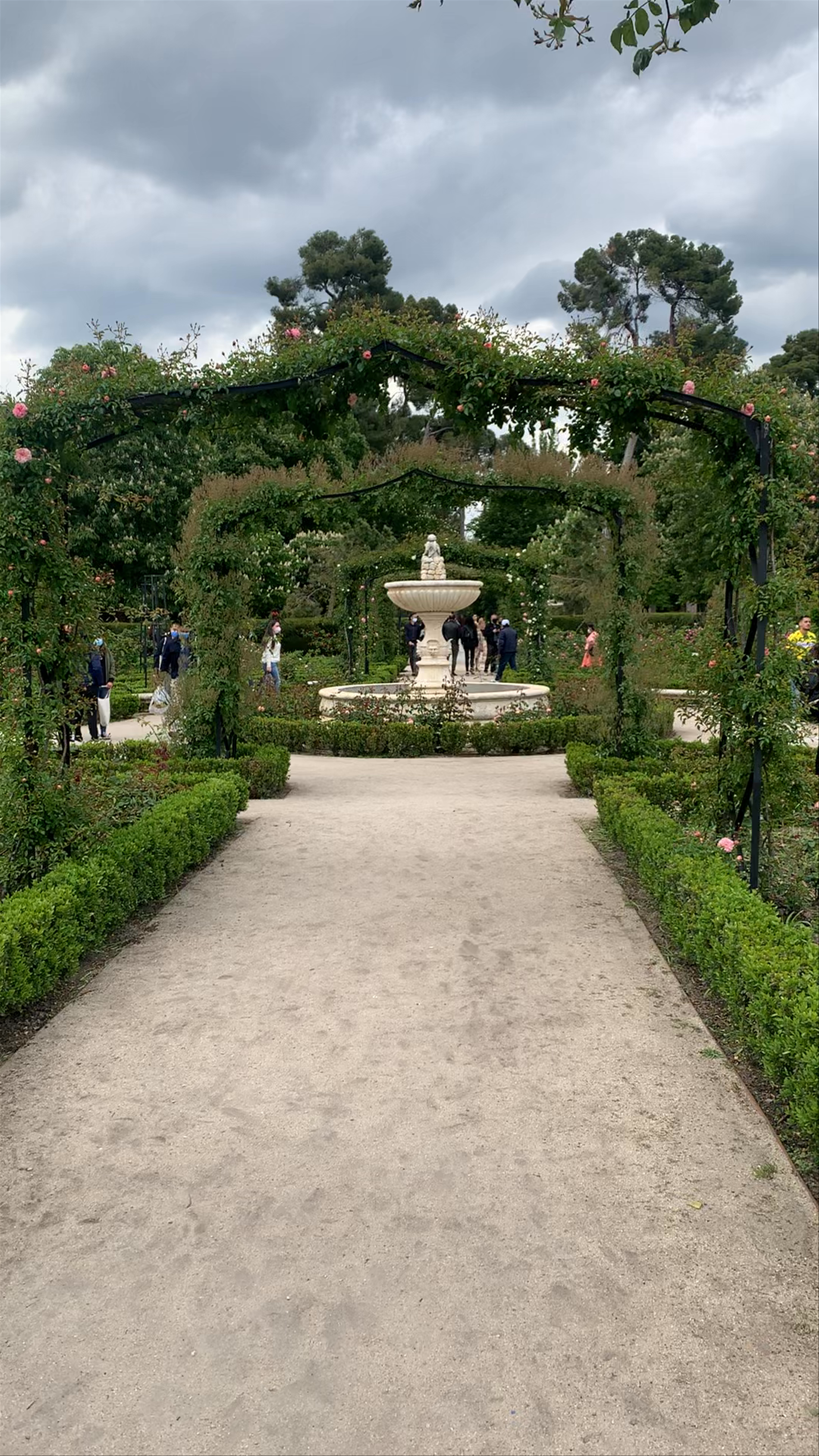 La Rosaleda del Retiro: Serene Rose Gardens in Madrid