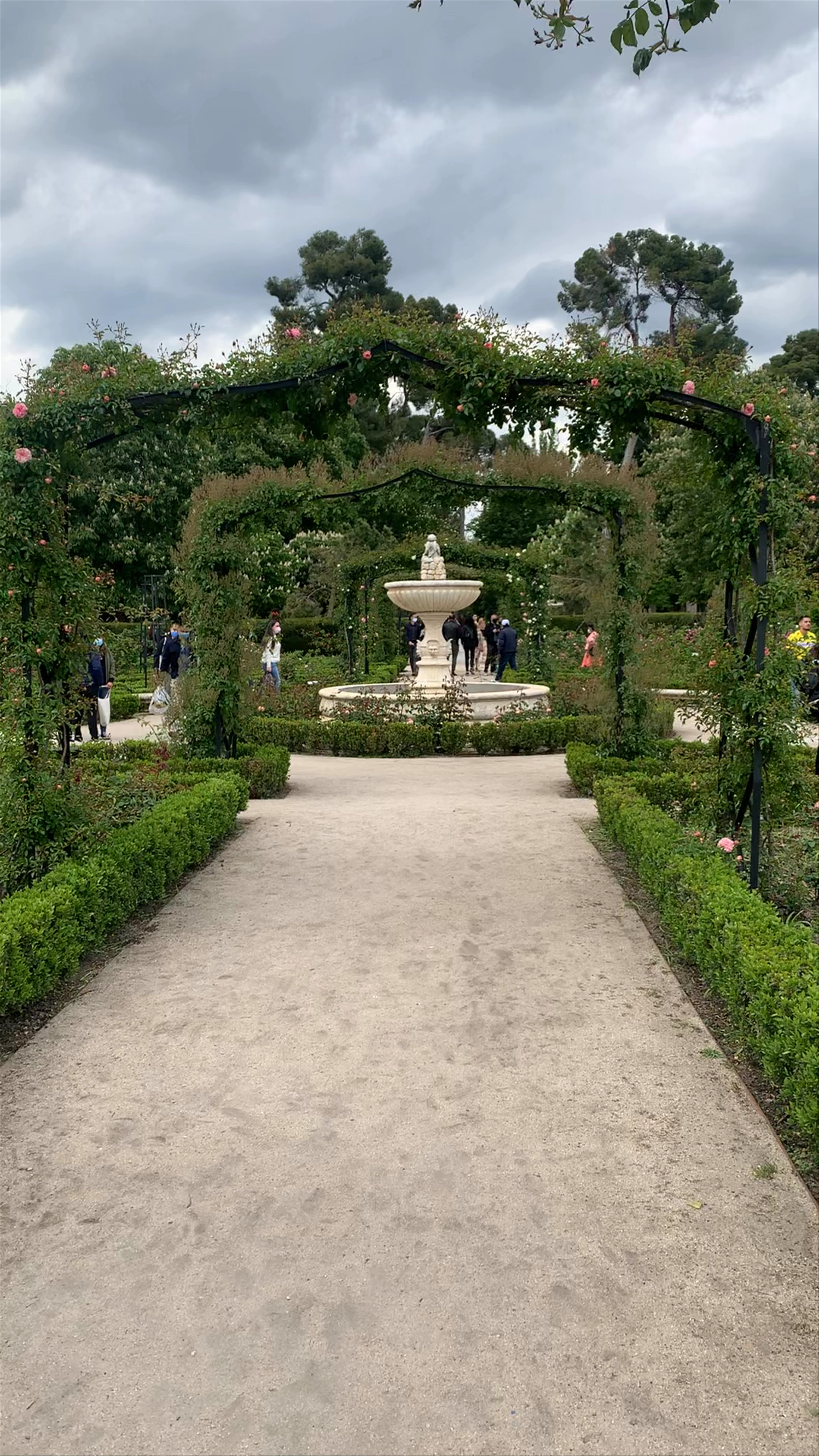 La rosaleda del retiro