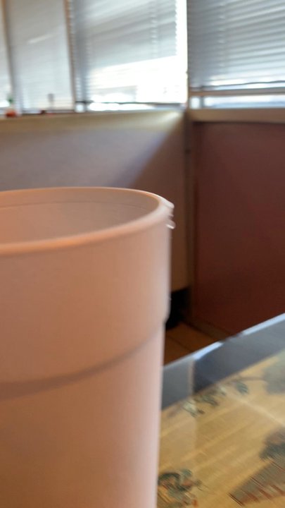 Panda Chef - Panda Chef lobby - Szechuan Near Me - Sachse, Texas
