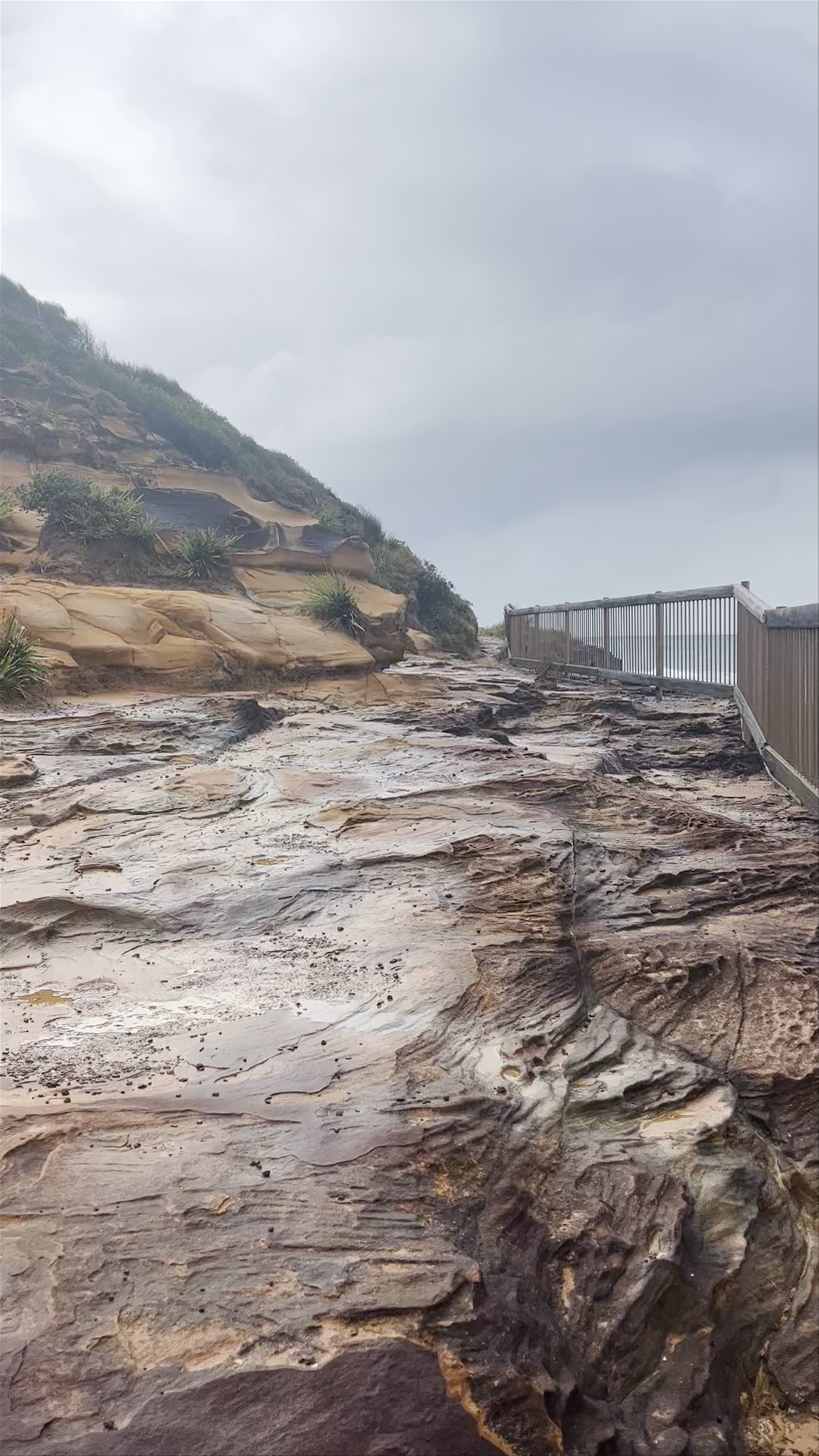 Bouddi coastal walk