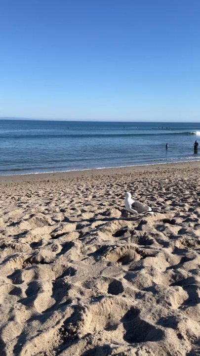 Carbon Beach - Beaches Near Me - Malibu, California