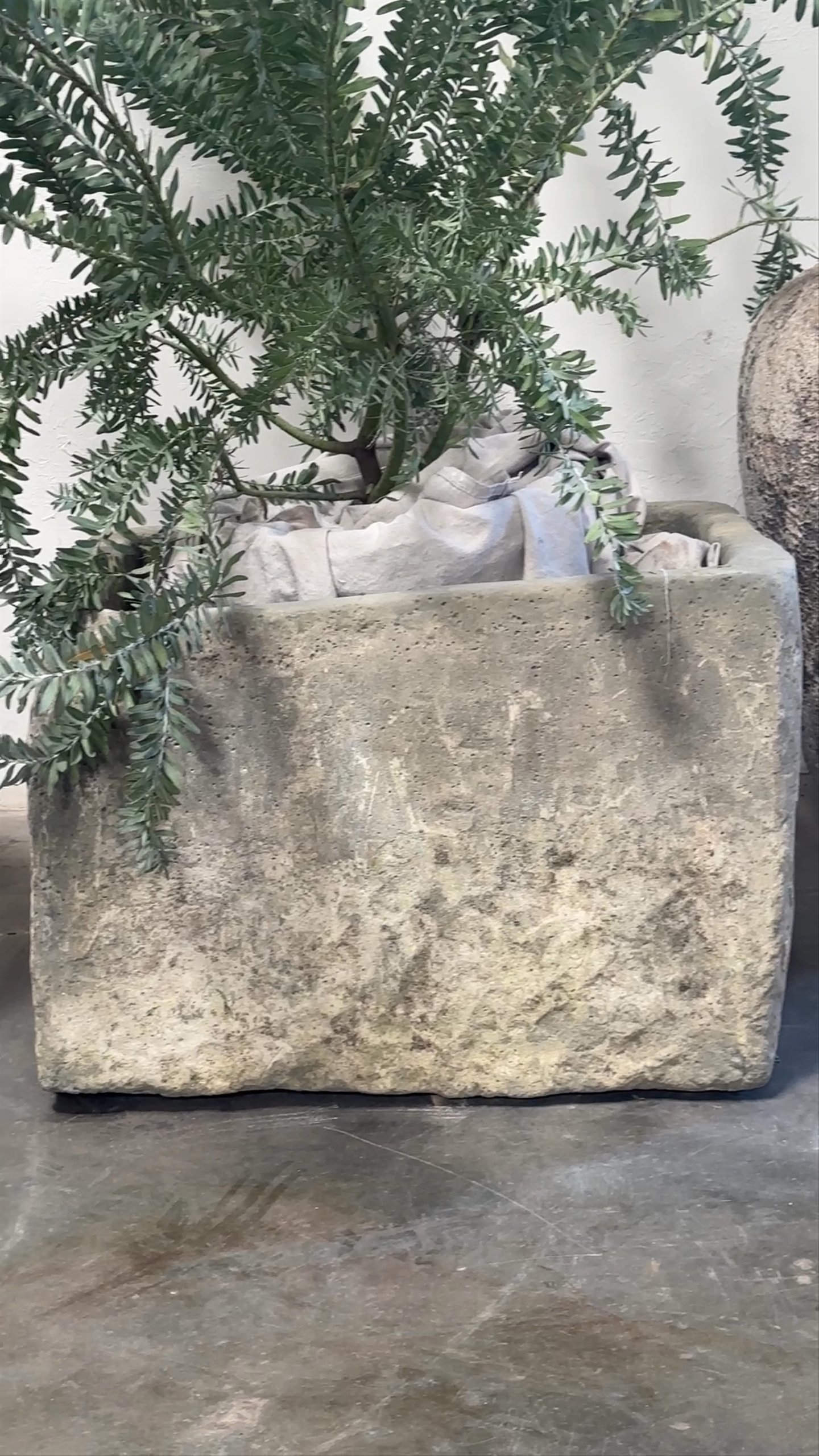 Stone Trough - 4