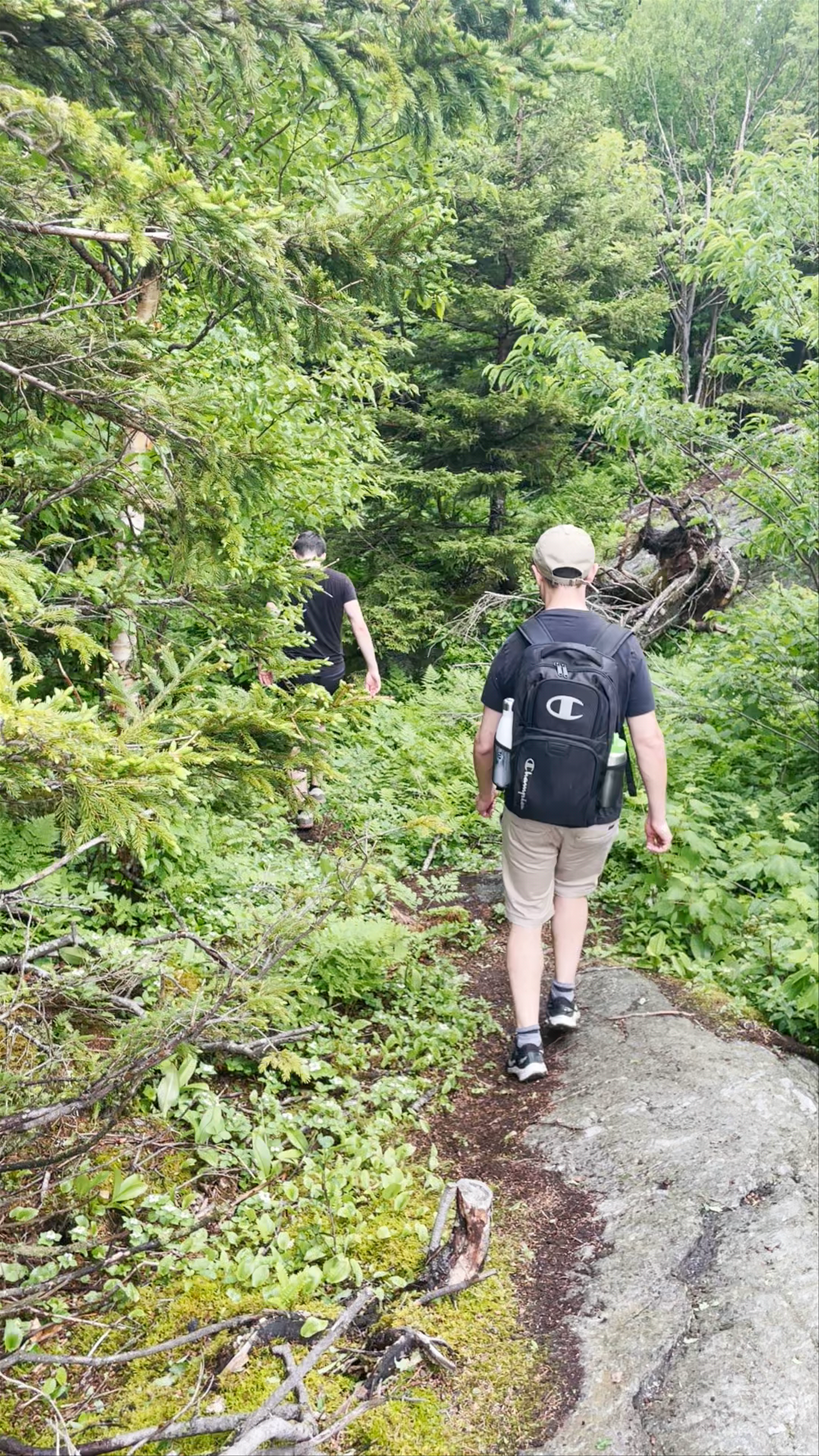 Sutton Natural Environment Park