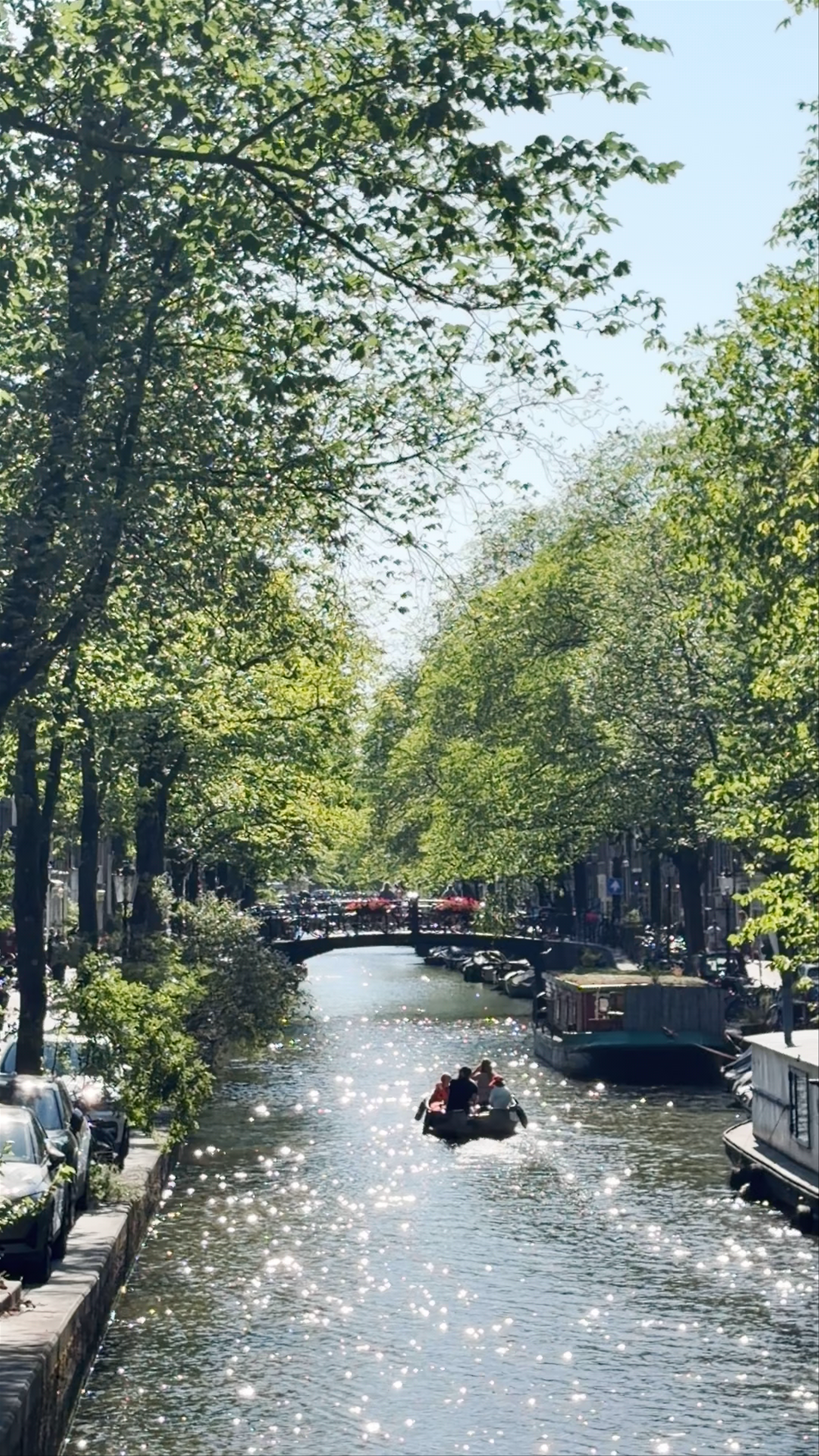 Sunlit Serenity on Amsterdam’s Keizersgracht Canal