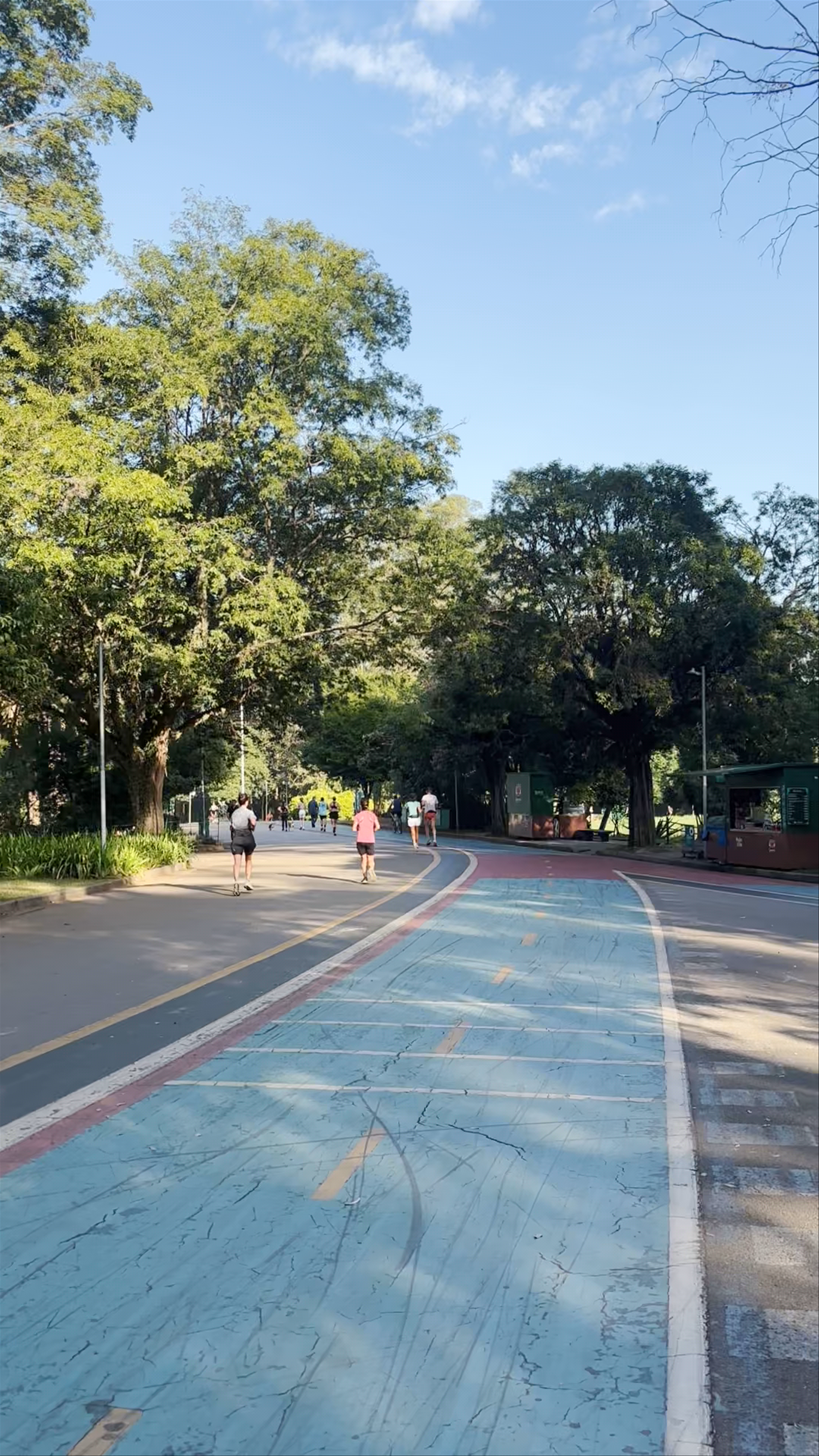 Parque Ibirapuera - Avenida Pedro Álvares Cabral - Vila Mariana