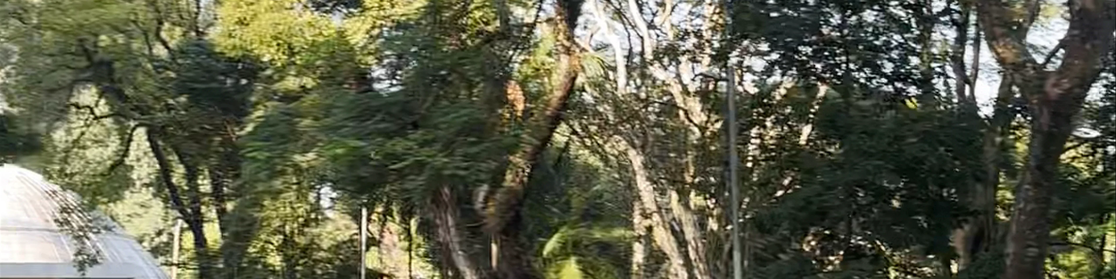 Parque Ibirapuera - Avenida Pedro Álvares Cabral - Vila Mariana