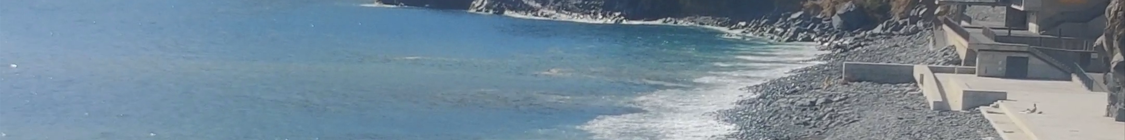 Tours & experiences in Câmara de Lobos