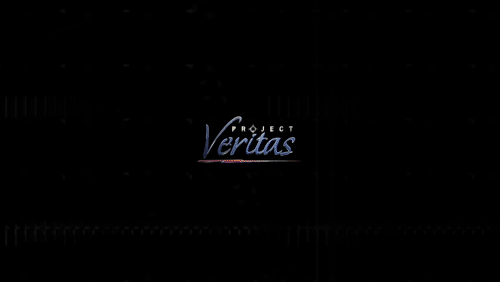 Video Thumbnail Loop