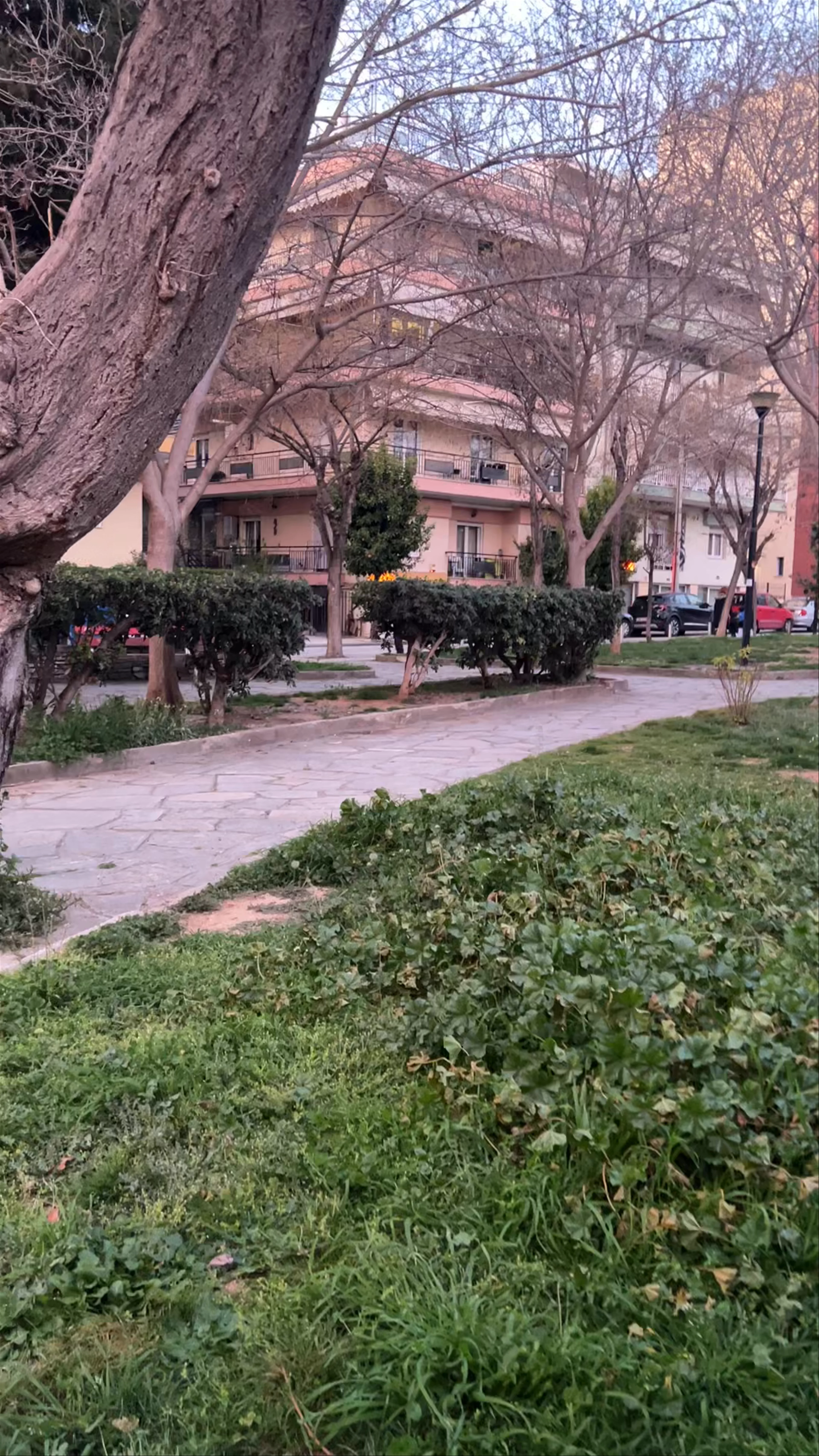 Fokas Park