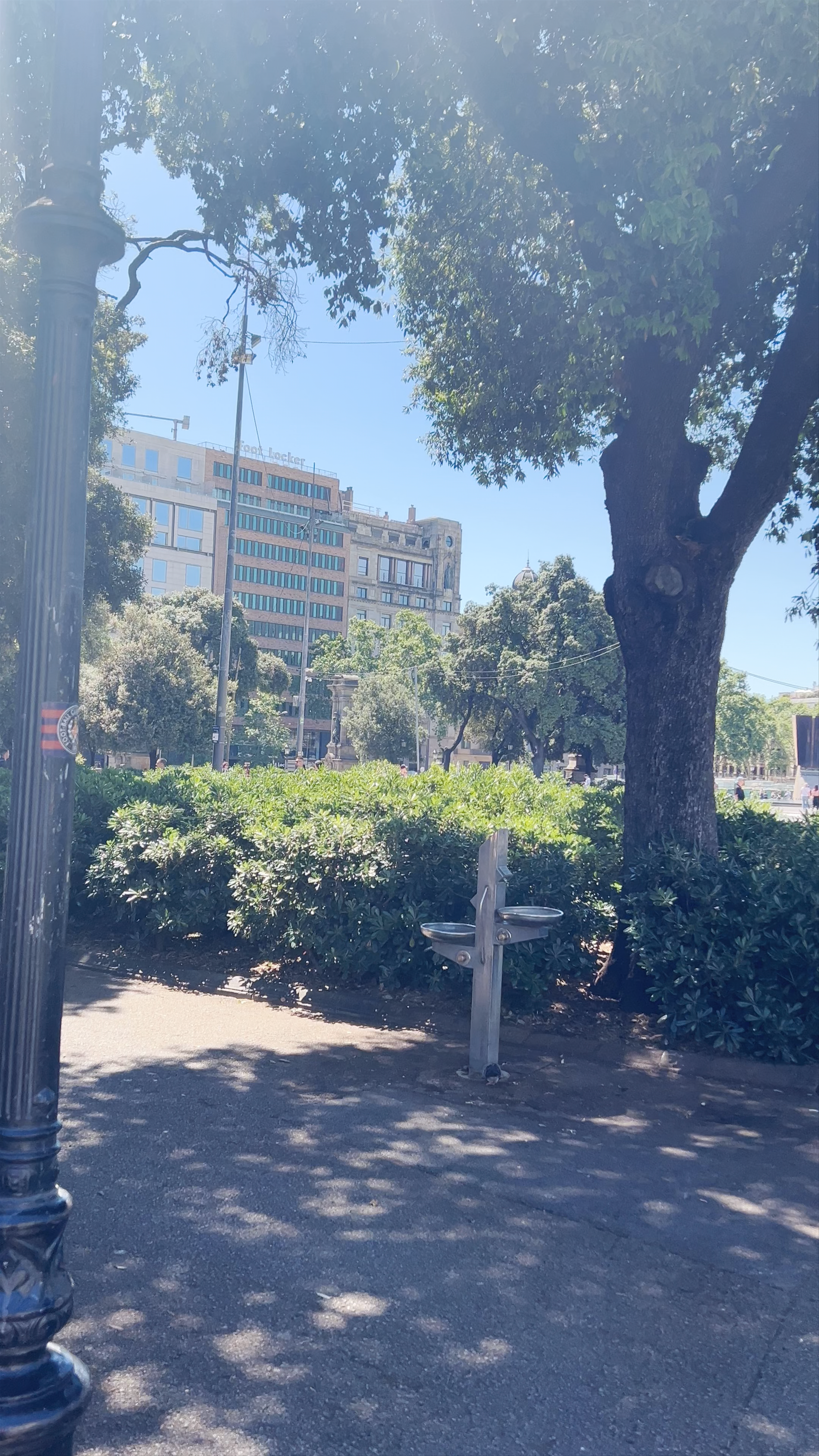 Plaça de Catalunya: The Vibrant Heart of Barcelona