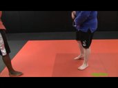 Podhvat(Leg Lifting Throw)