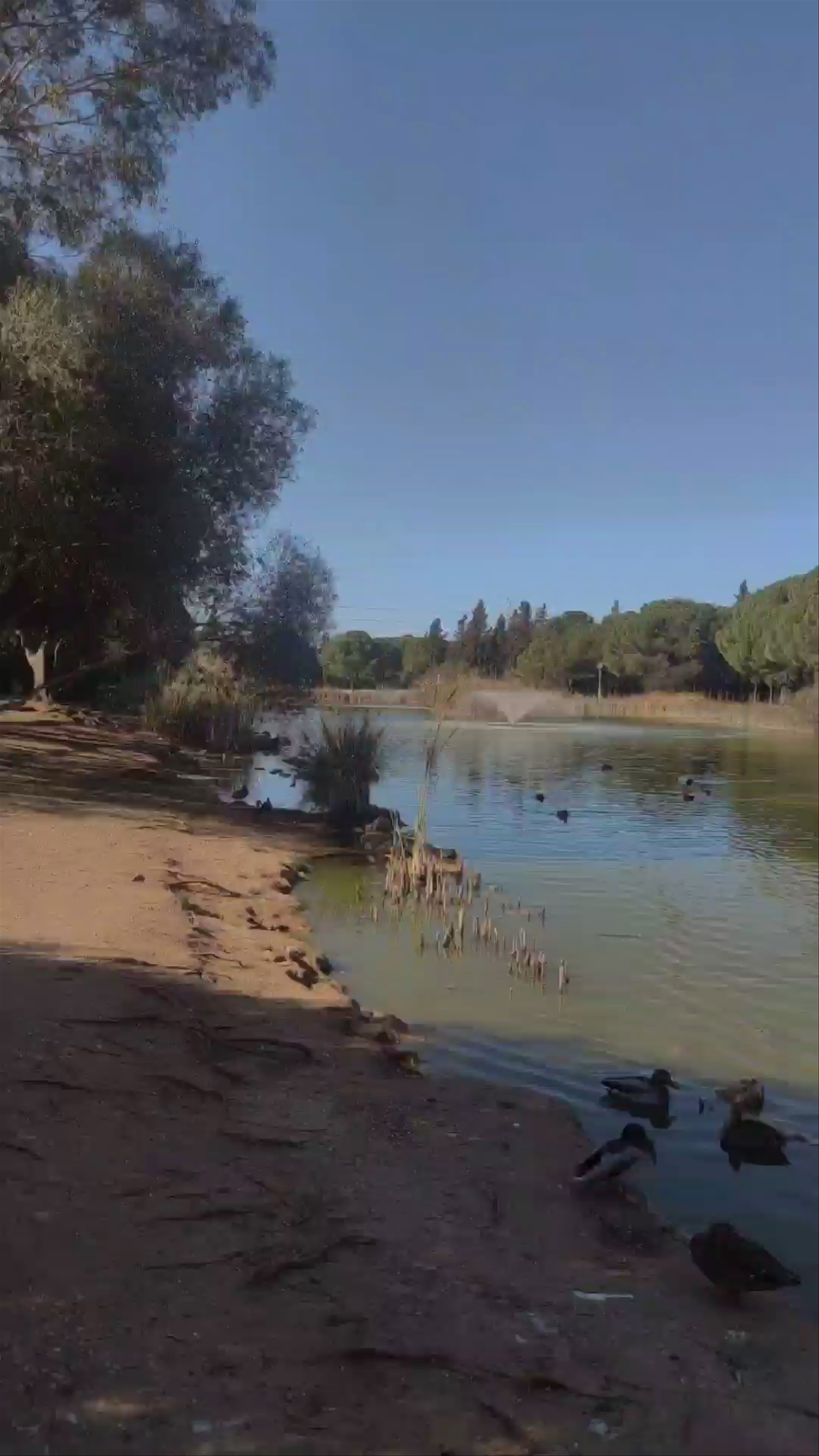Peaceful Day at Parque Infanta Elena, Seville