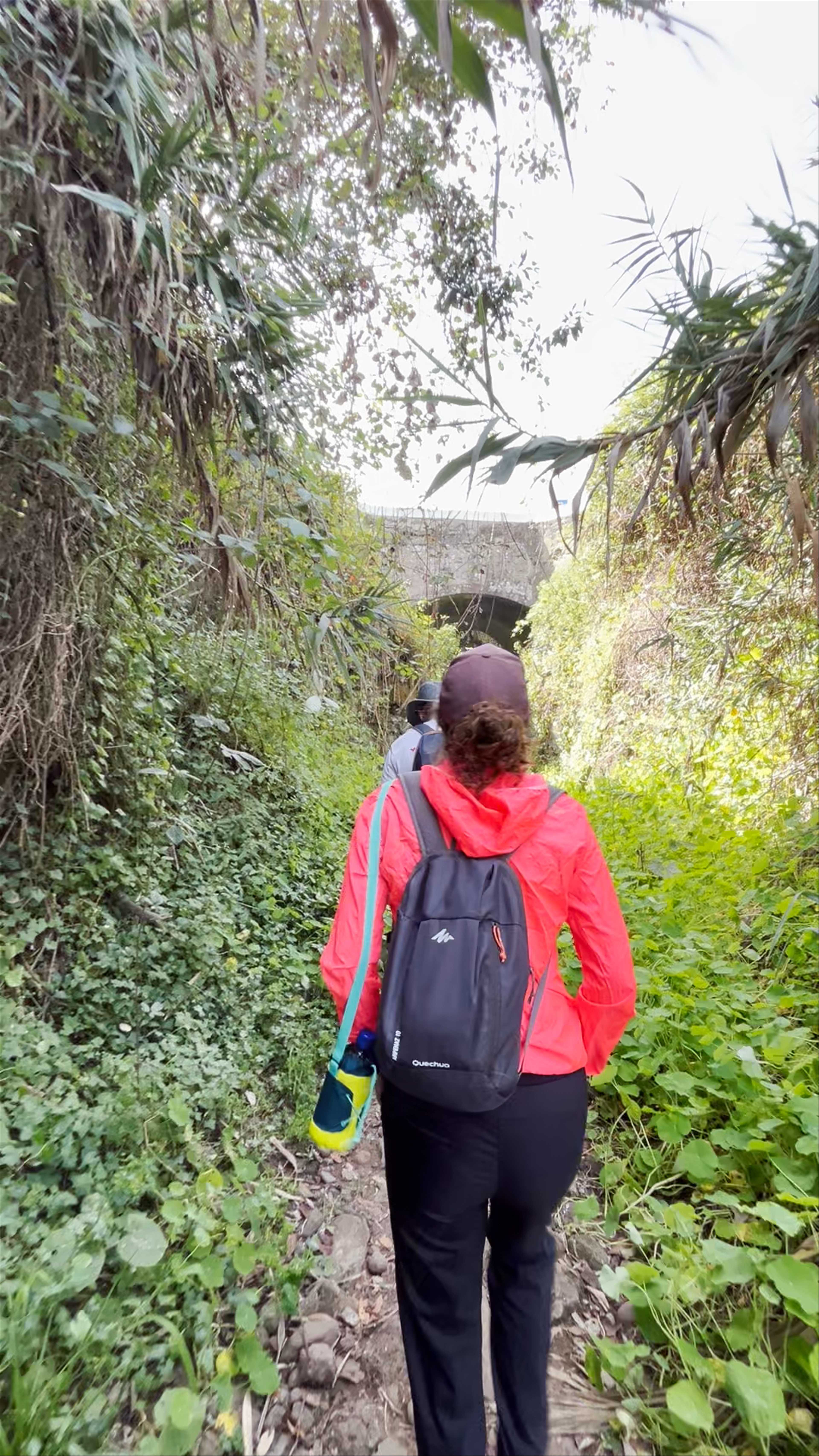 Fuente Agria de Teror