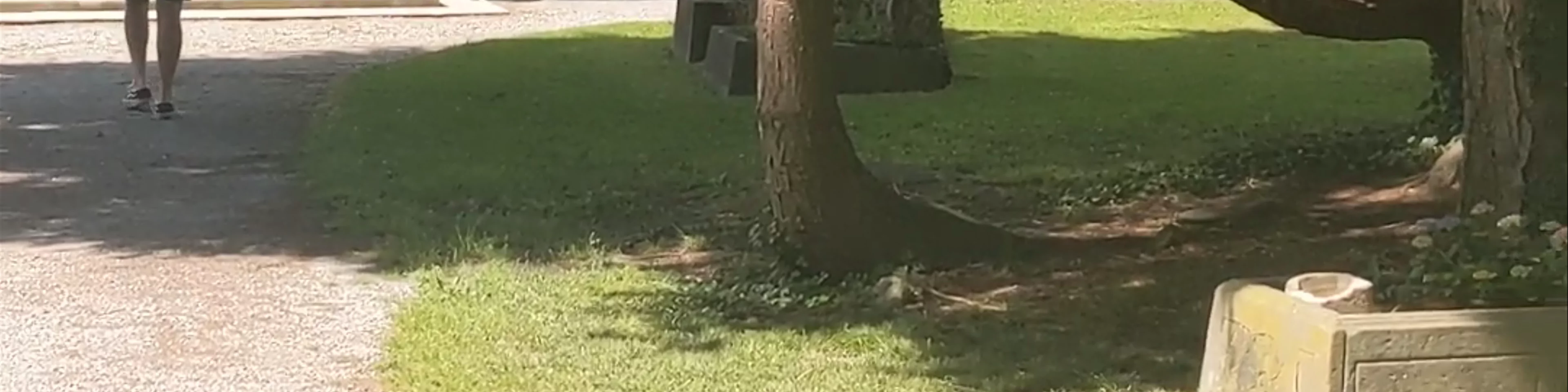 St Sebastian's Cemetery