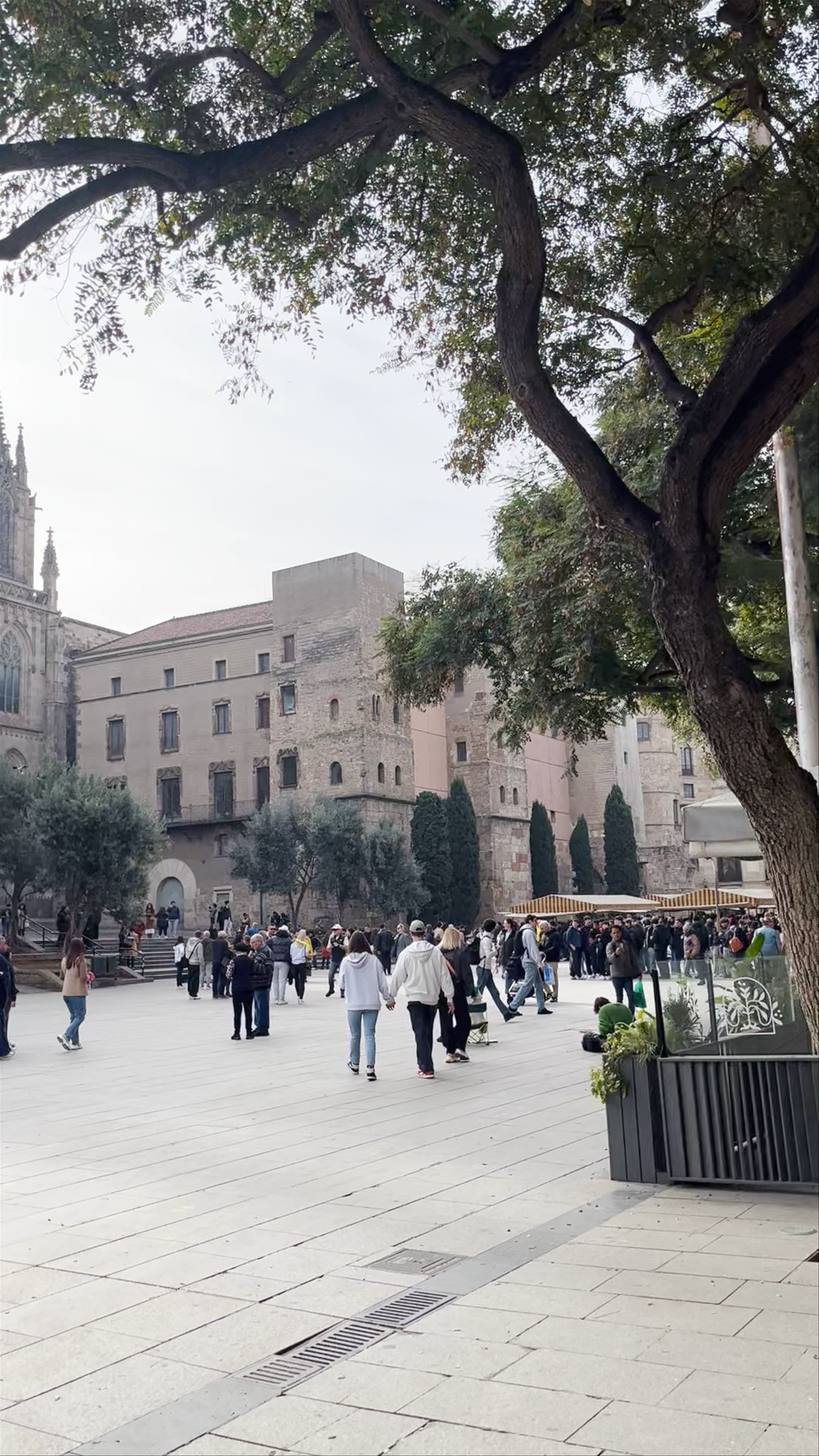 Catedral de Barcelona