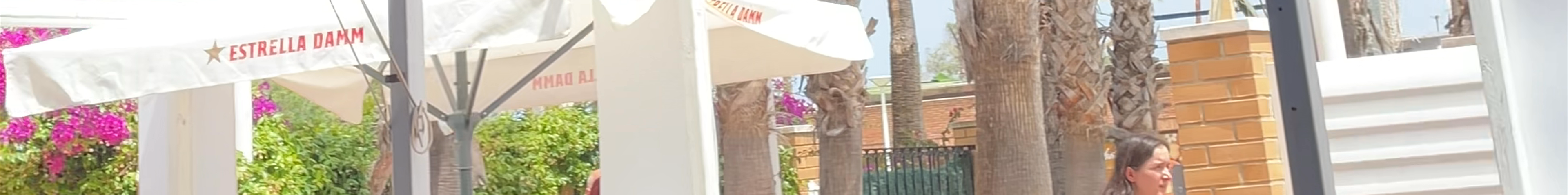Tours & experiences in Castelló de la Plana