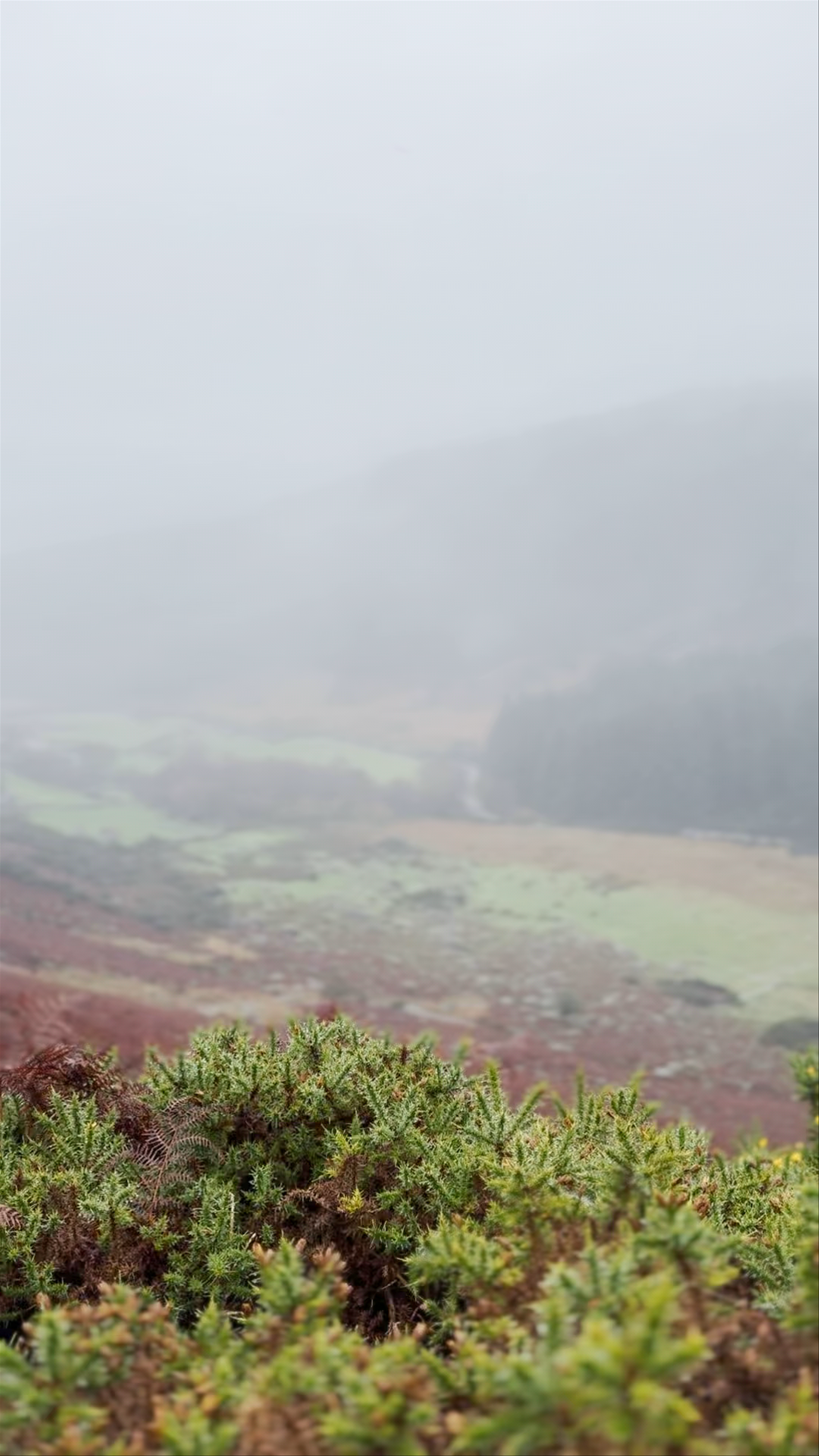 Glenmacnass Waterfall
